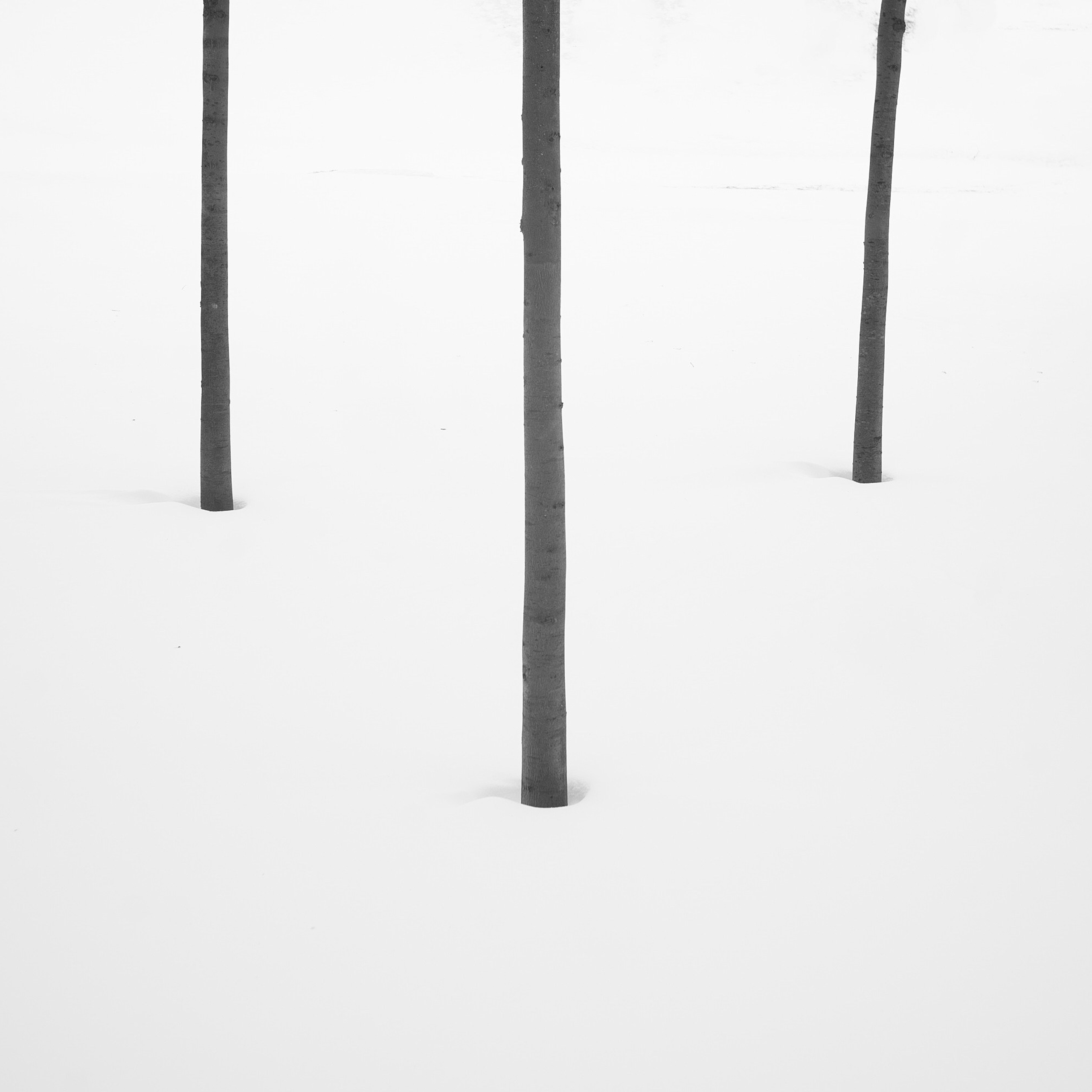 Минимализм 23-24г