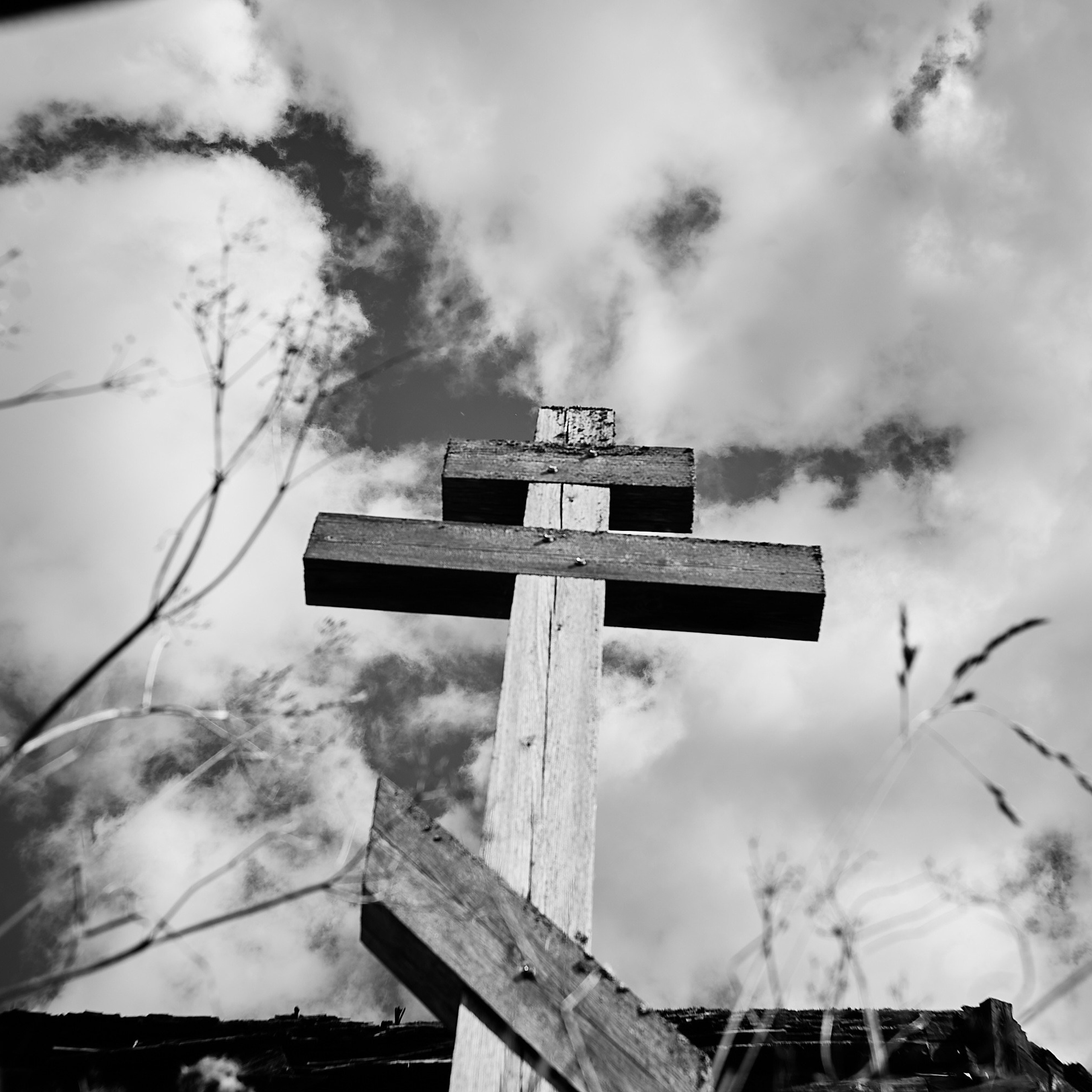 Тверская область 23