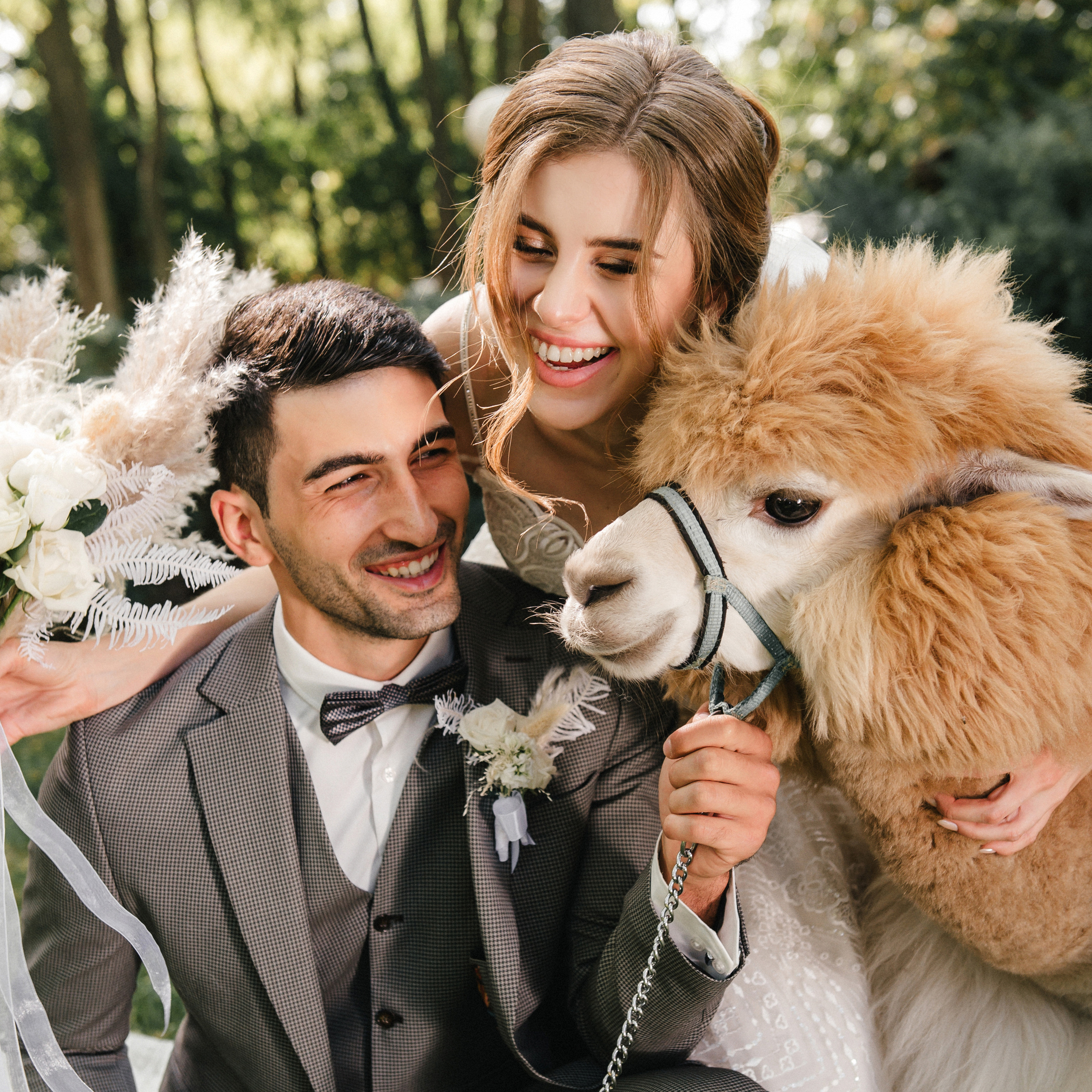 Отзывы. Portfolio