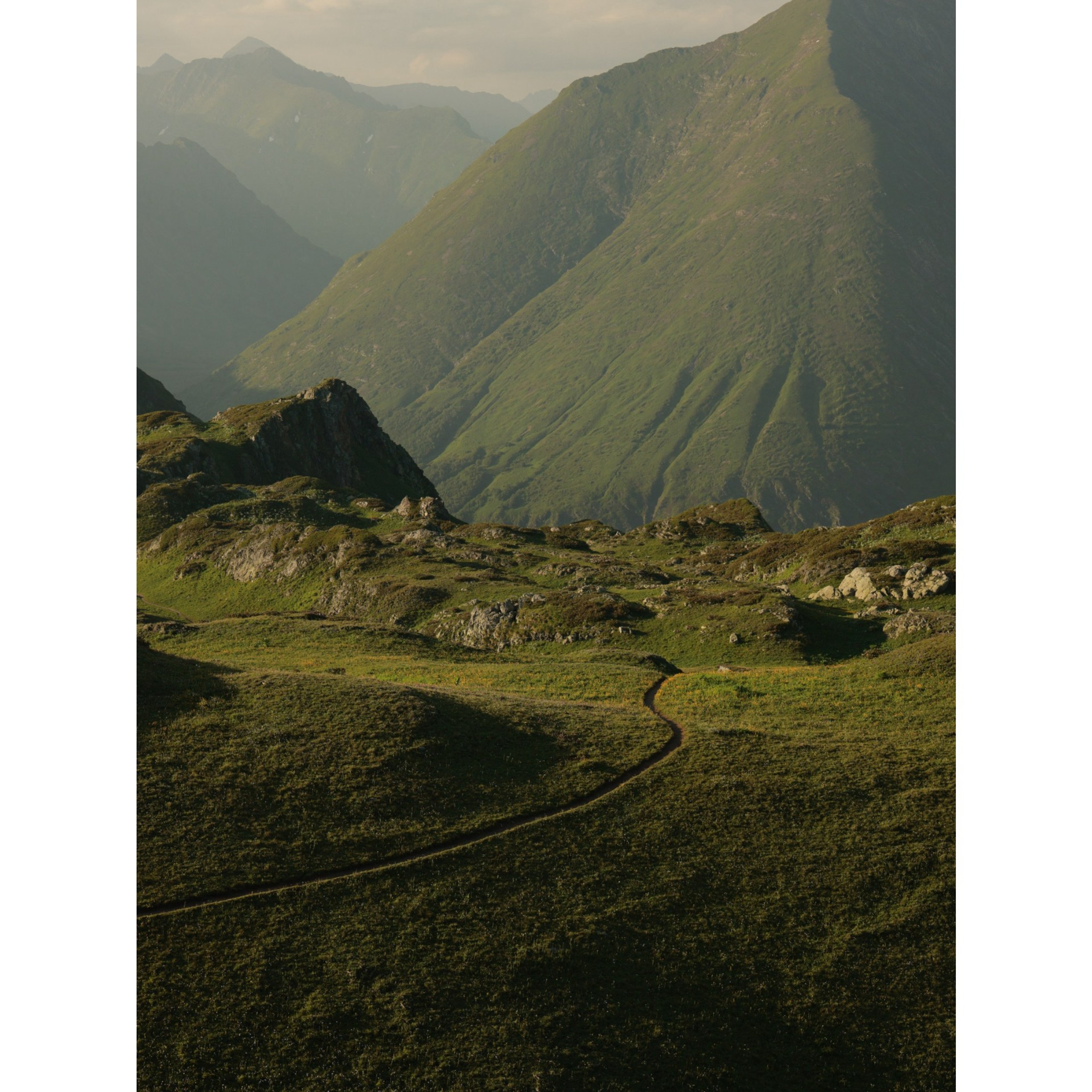 Мох I. Создаём интерьерные и архитектурные фотографии