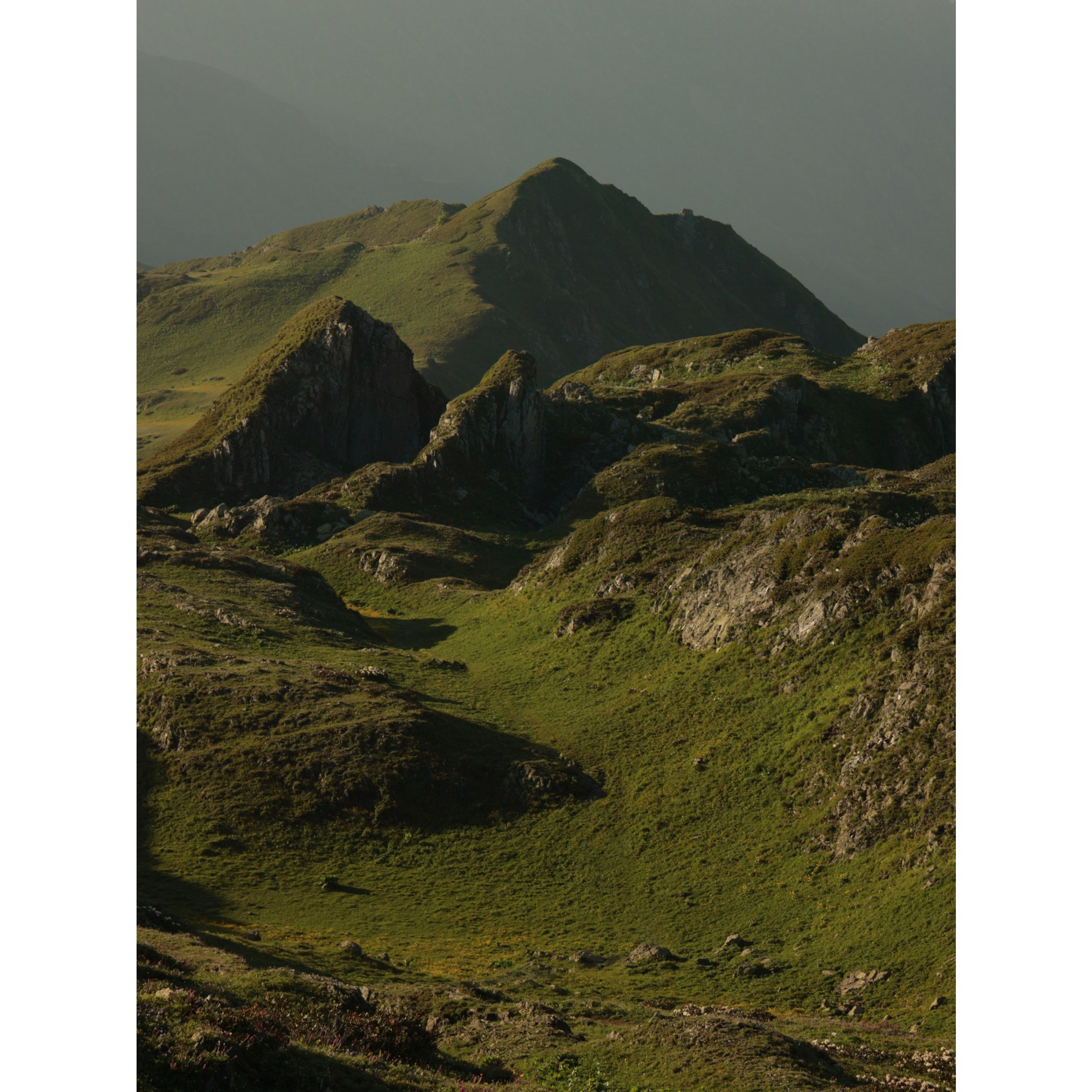 Мох II. Создаём интерьерные и архитектурные фотографии