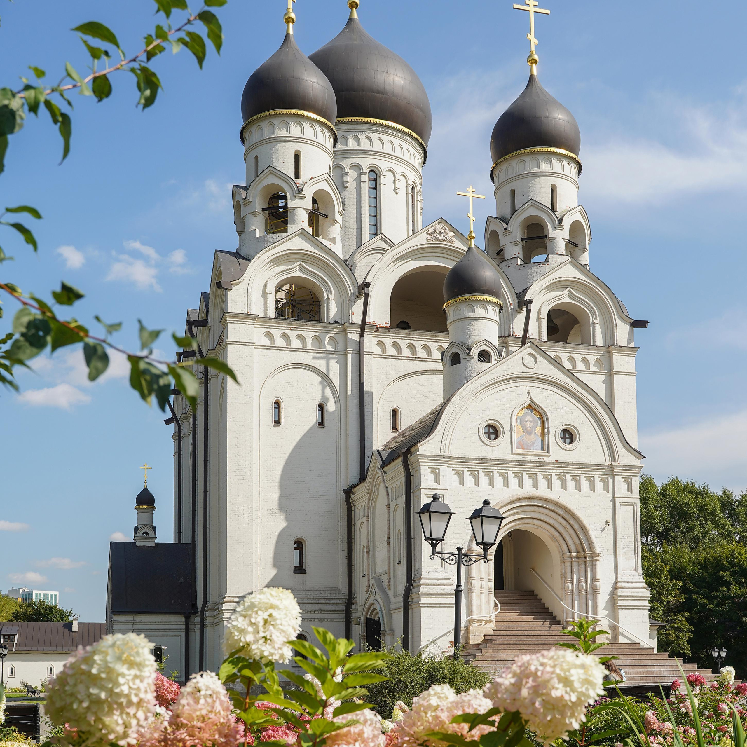 Отзывы. Ульяна Палама: Мир через призму фотокамеры