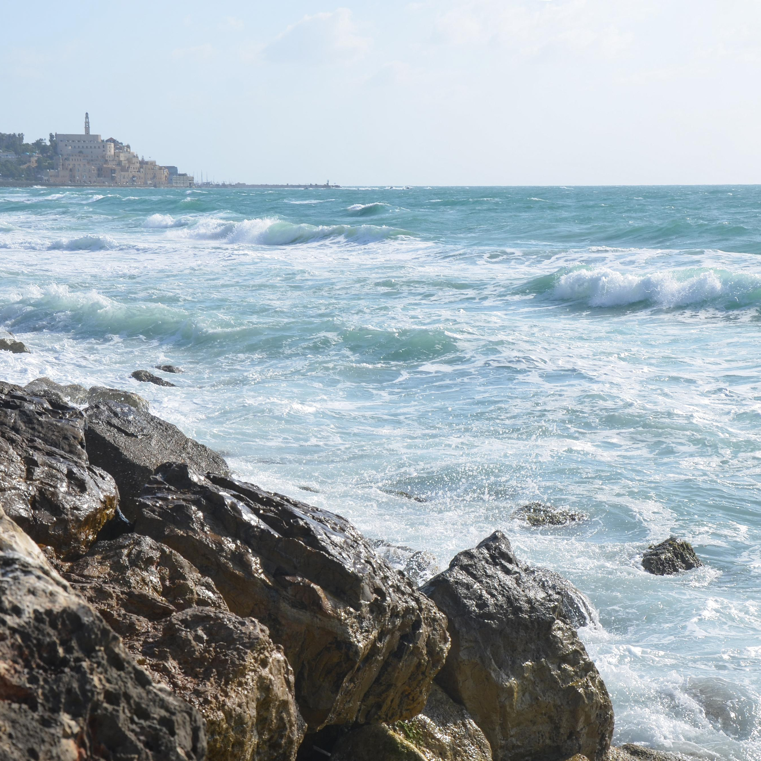 Отзывы. Ульяна Палама: Мир через призму фотокамеры