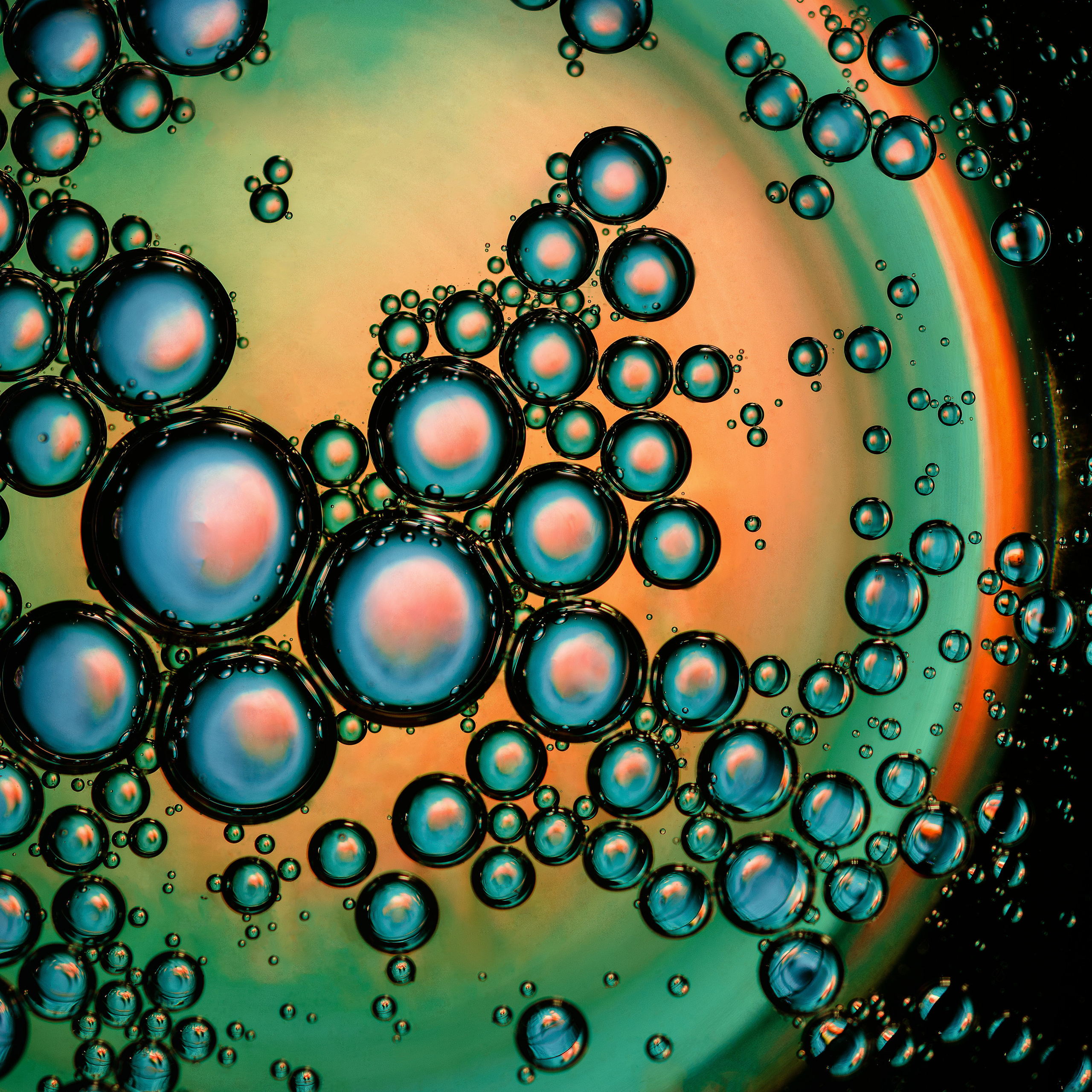 Космецевтика