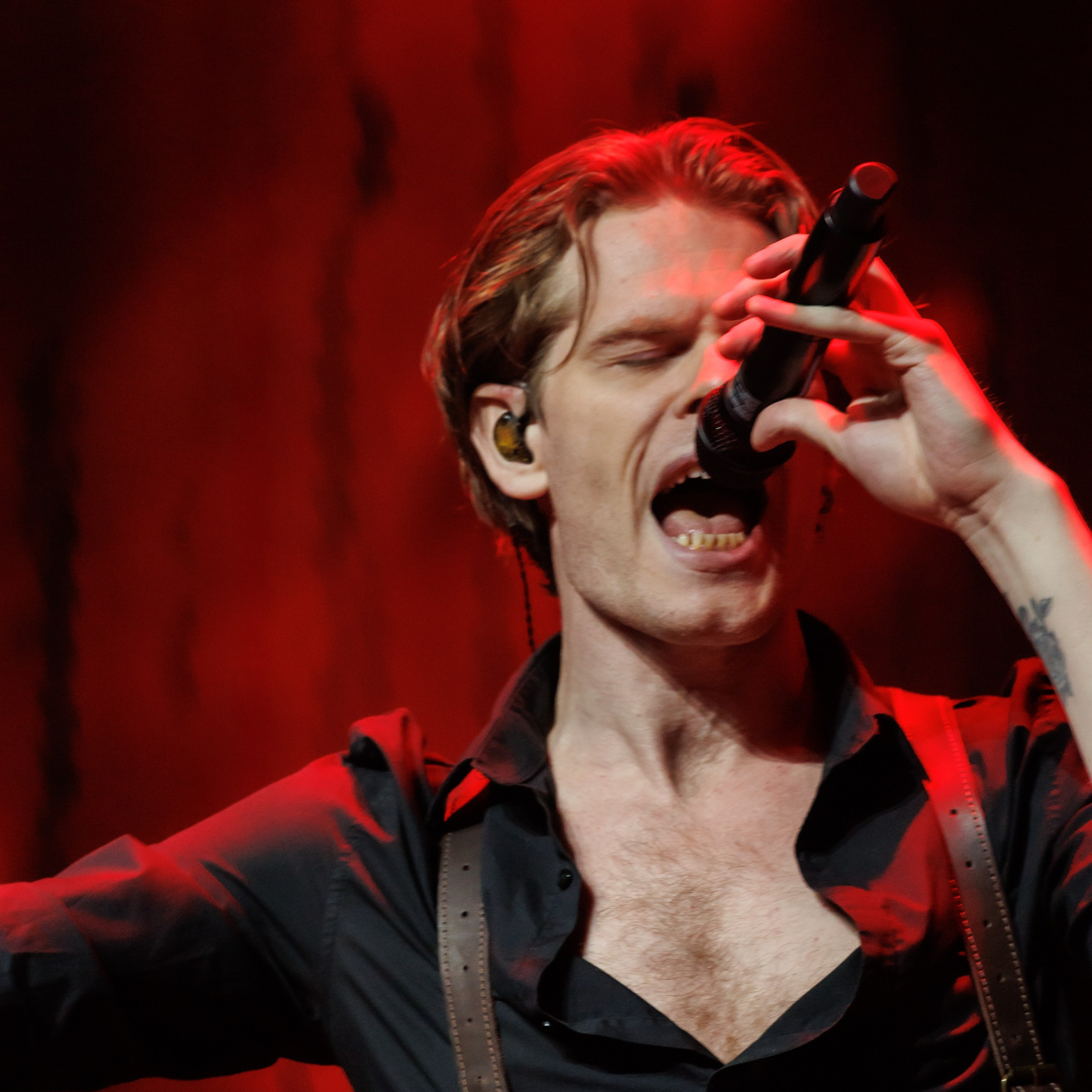 Sting Desert Rose Symphony. Фотограф Анастасия Зубкова