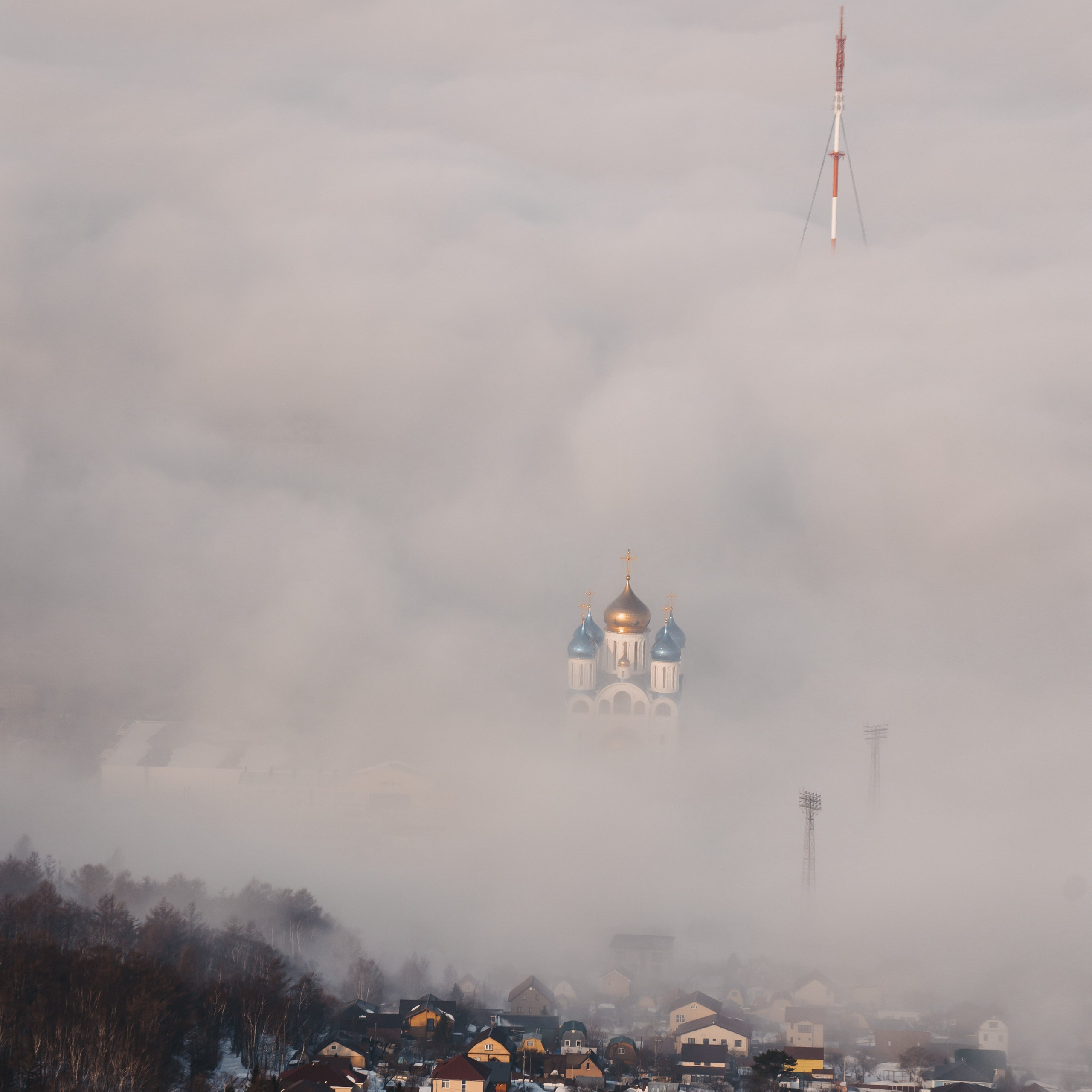 КВАТРО. Фотограф Анастасия Зубкова