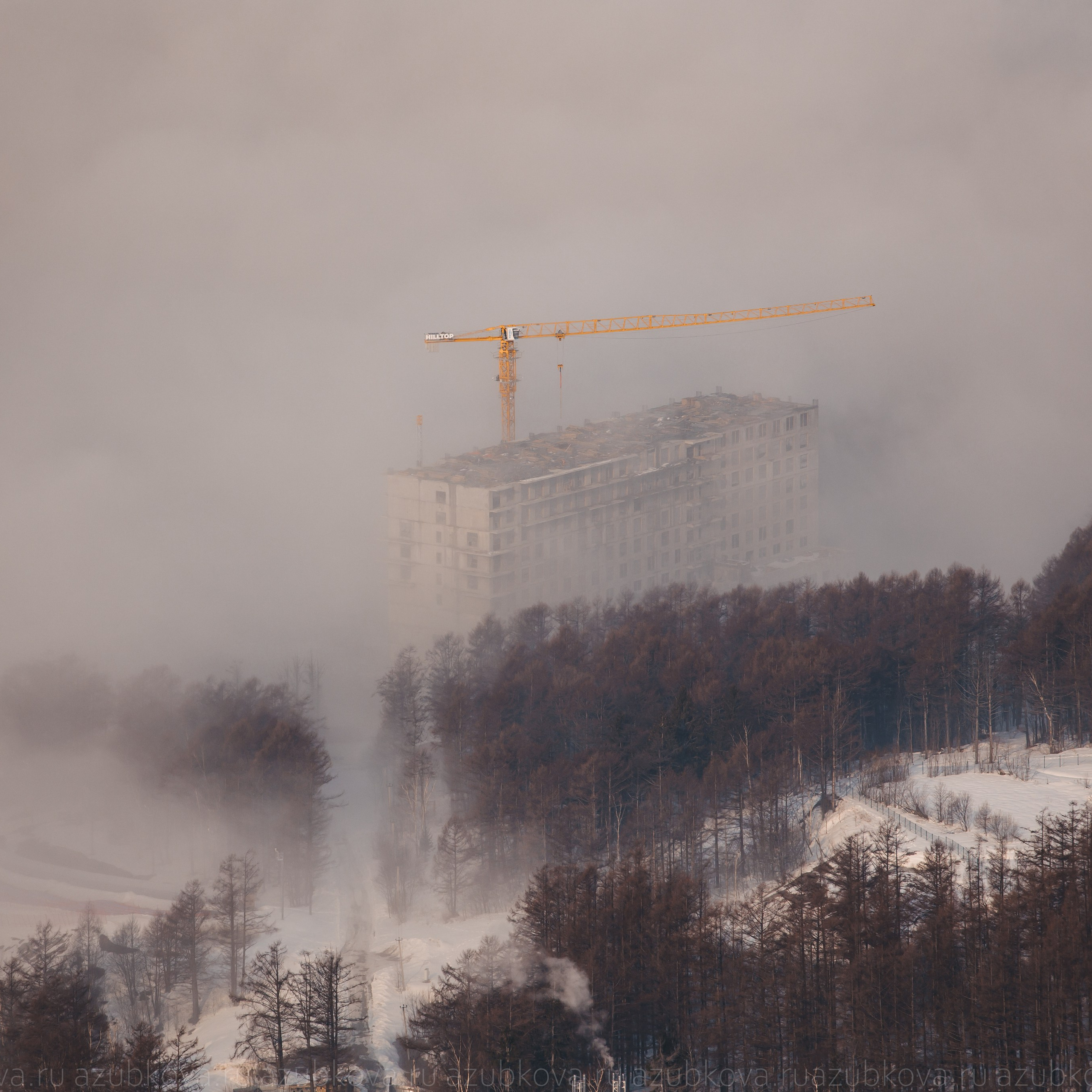 КВАТРО. Фотограф Анастасия Зубкова