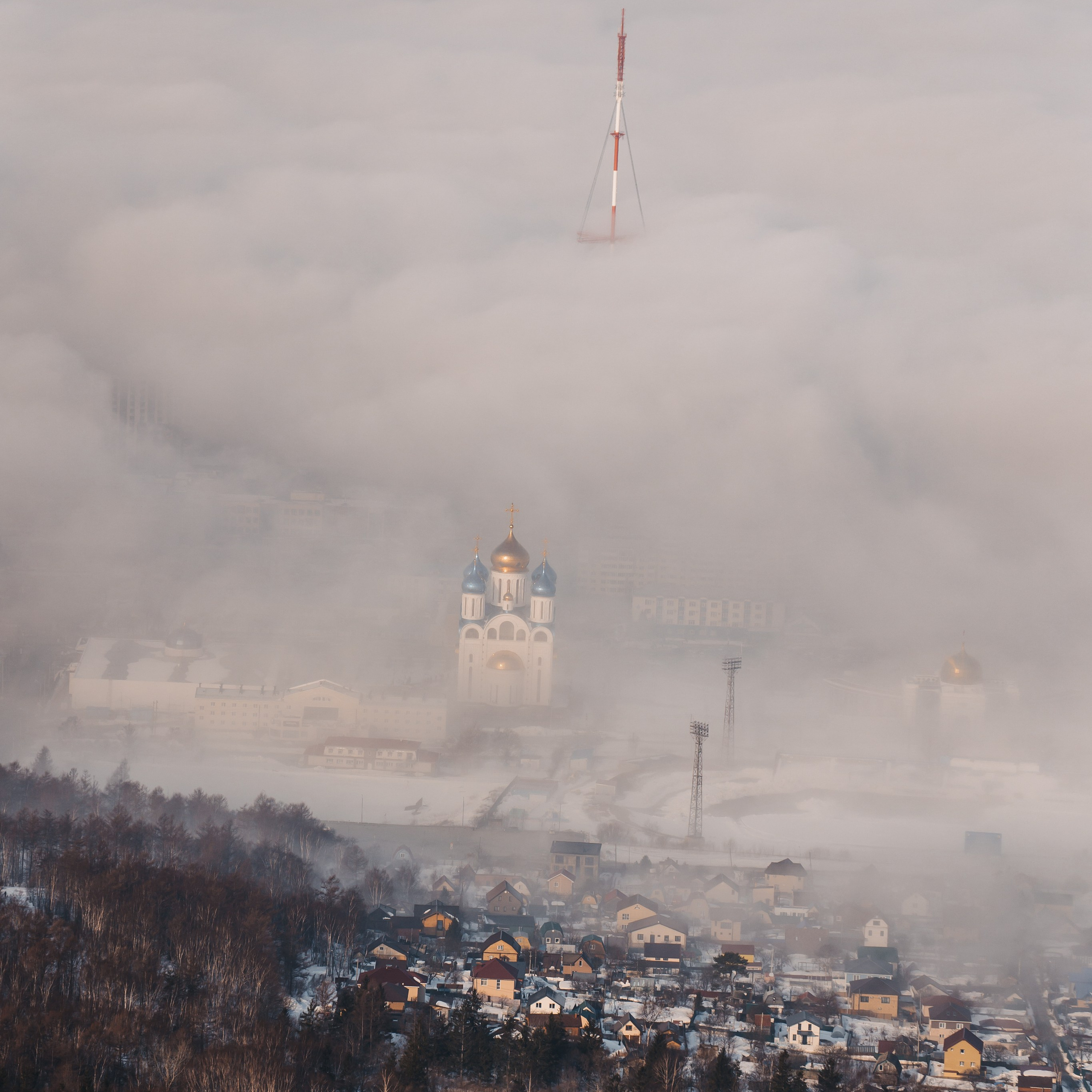 КВАТРО. Фотограф Анастасия Зубкова