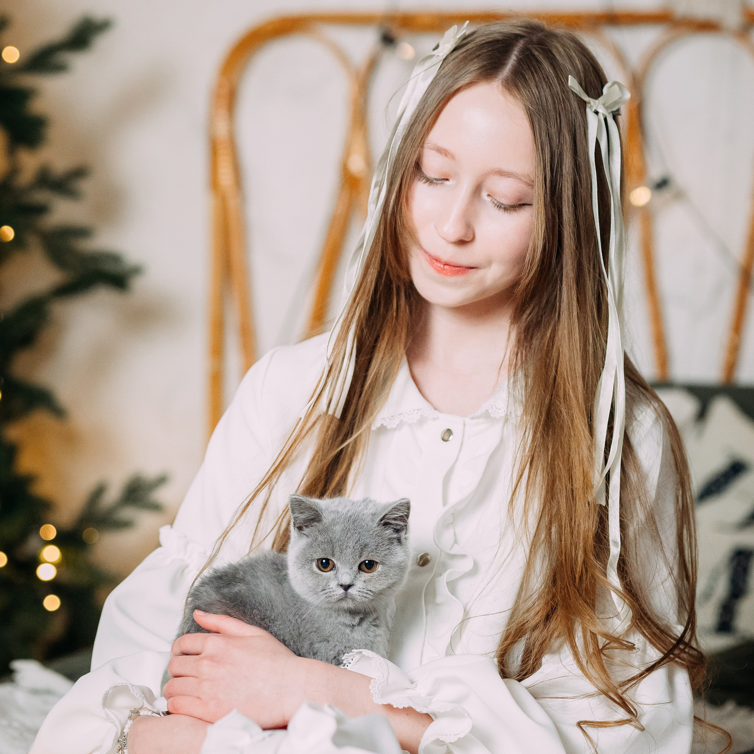 Новый год с котятами