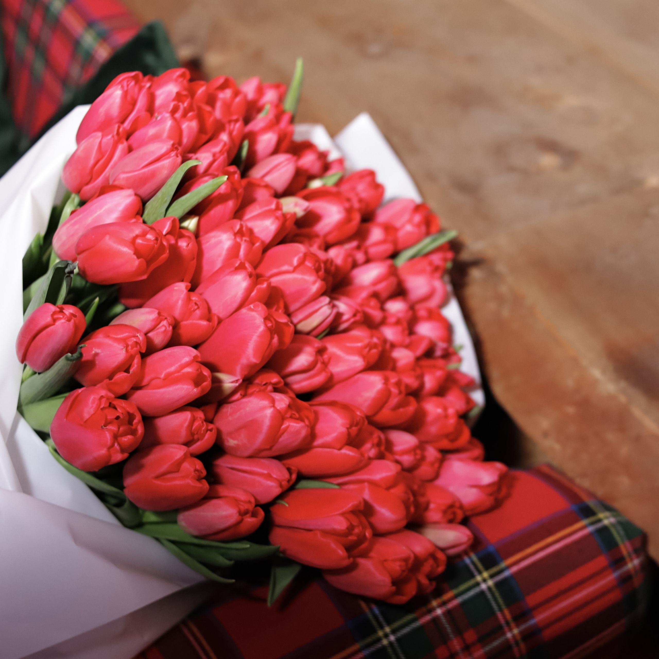 Отзывы. Фотограф Алена Кузнецова