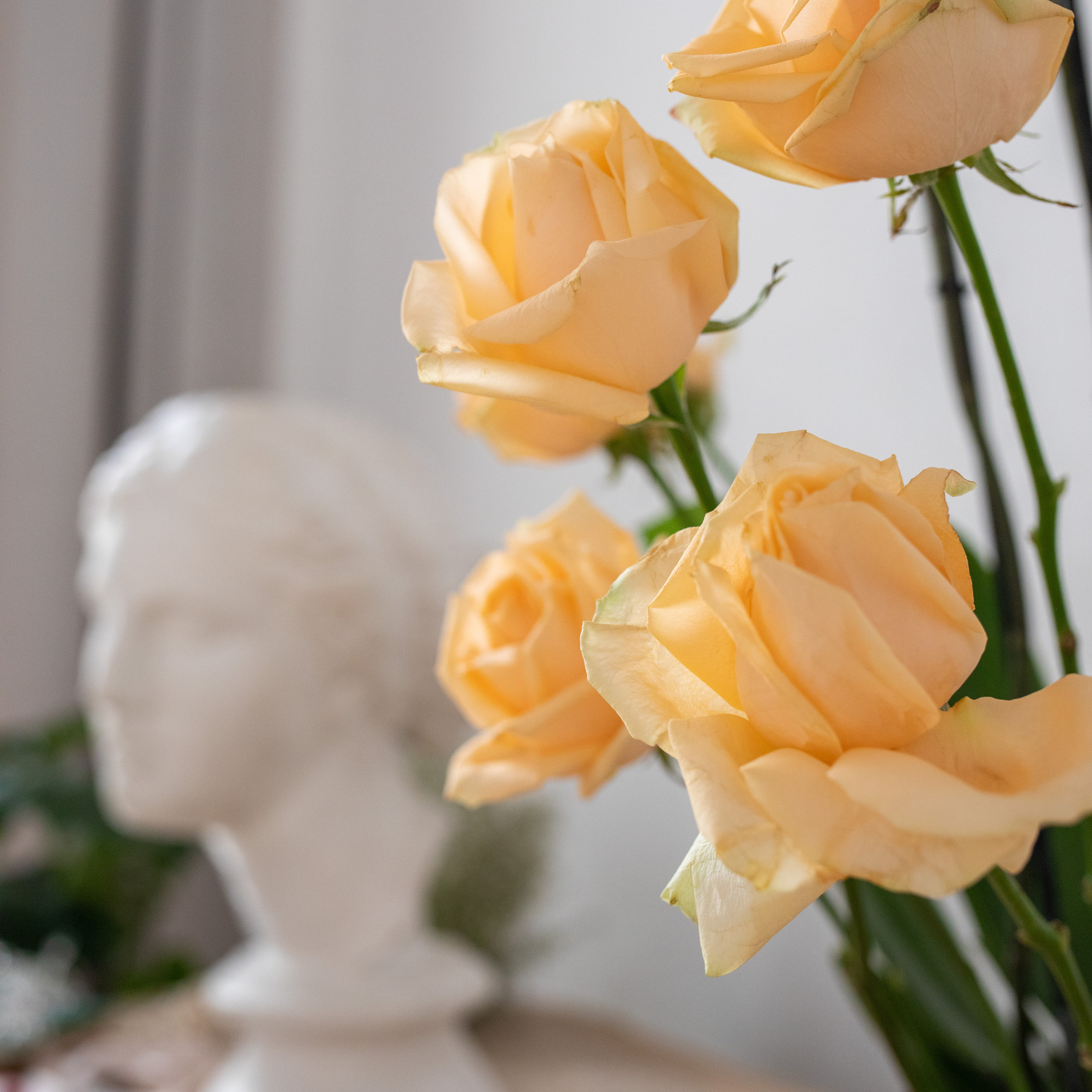 Съёмка для флориста