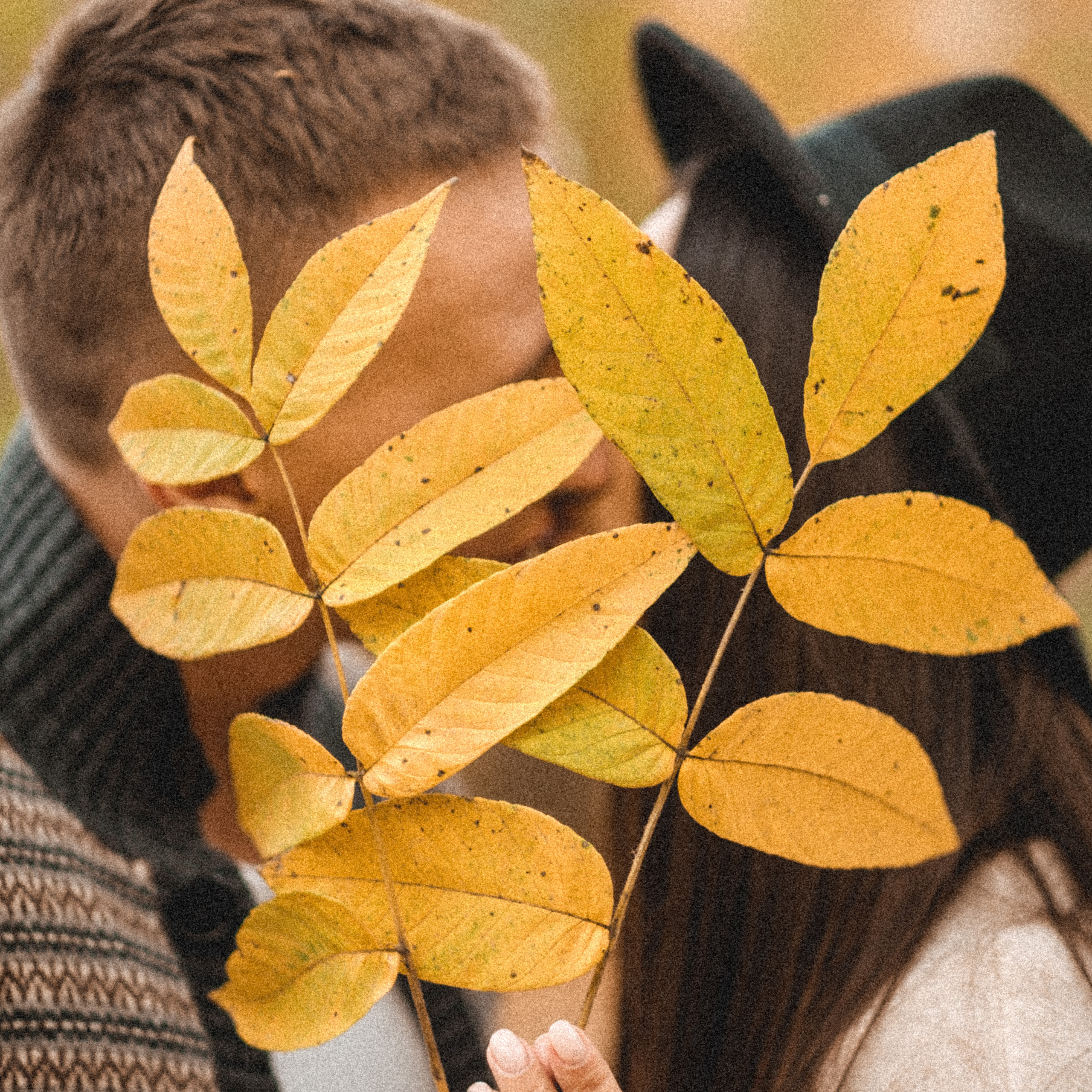 Лена и Саша