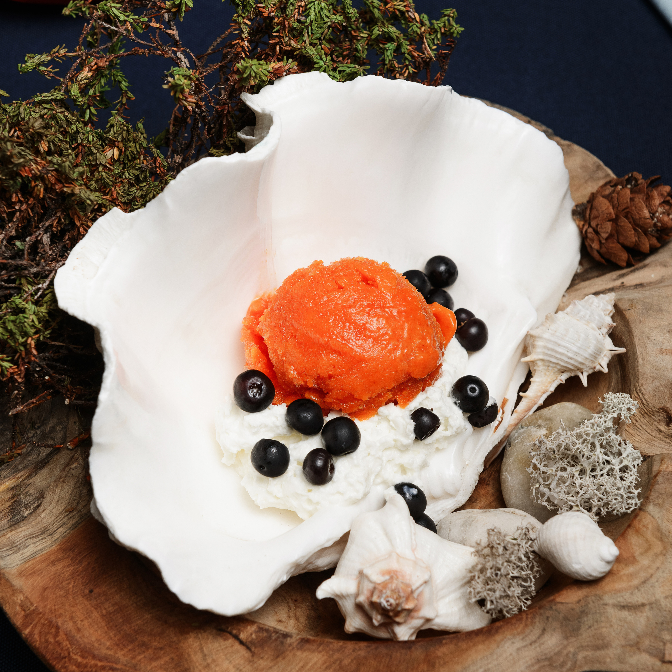 Отзывы. Фотограф Камчатка Тимофей Тимофеенко