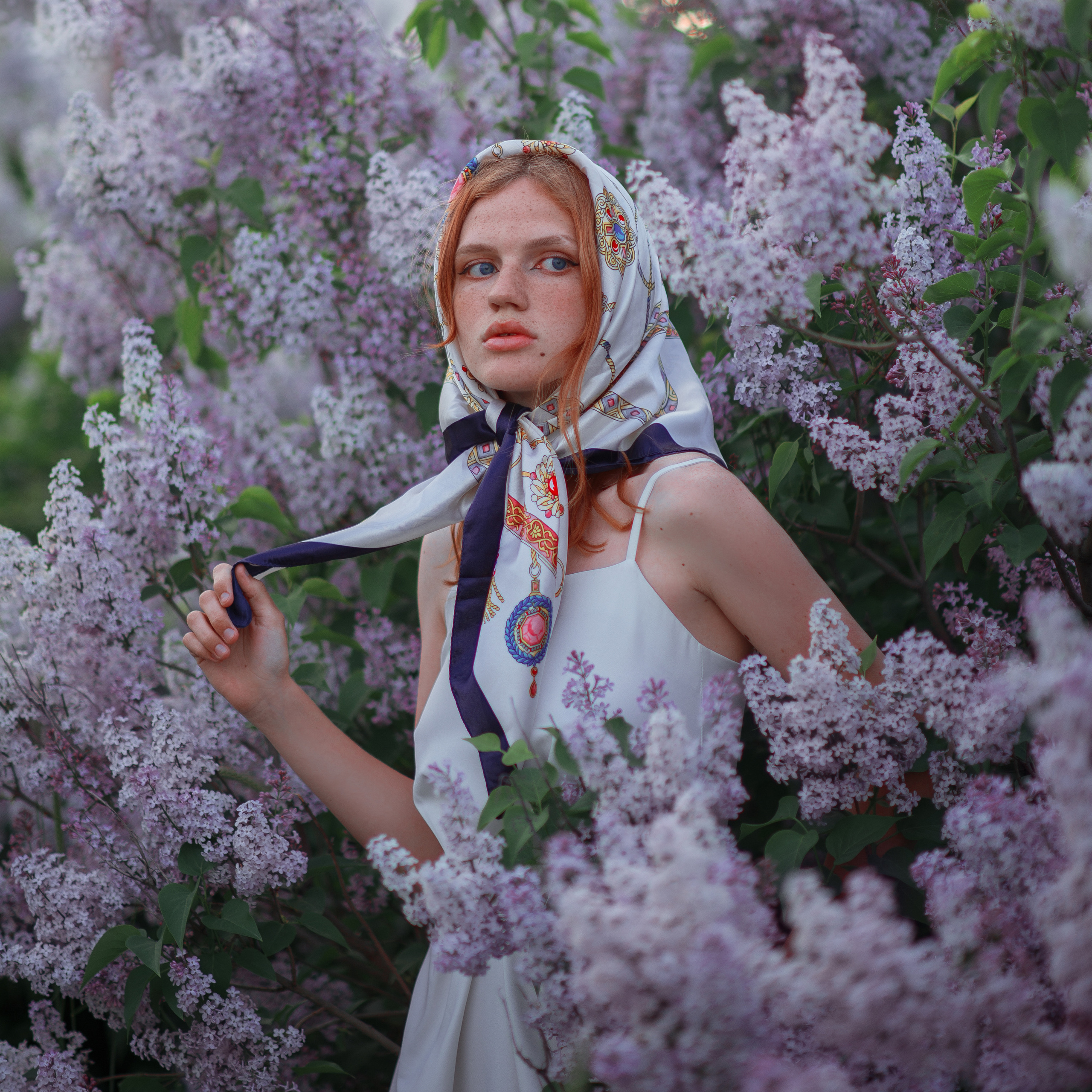 В цветущей сирени