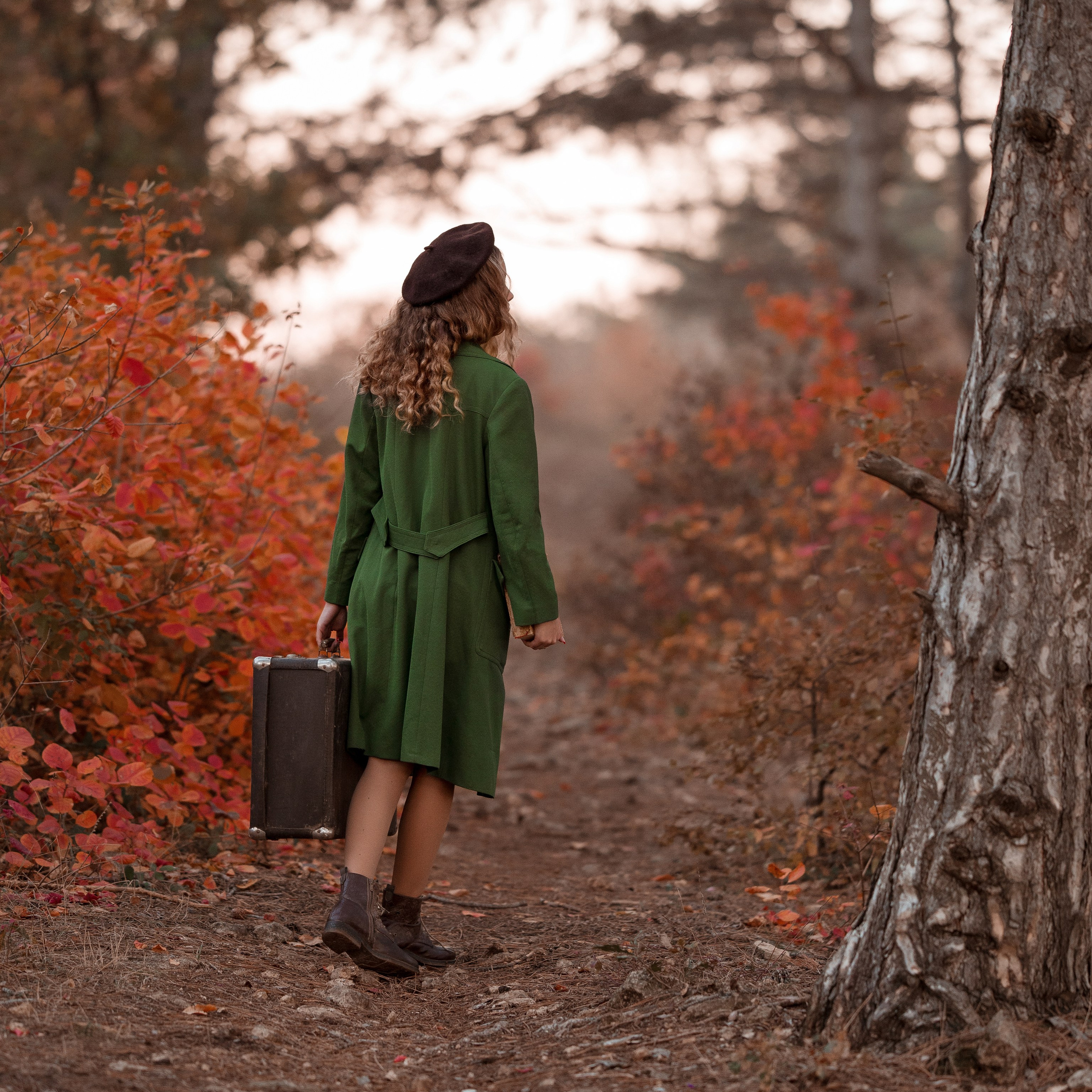 Осенний сюжет