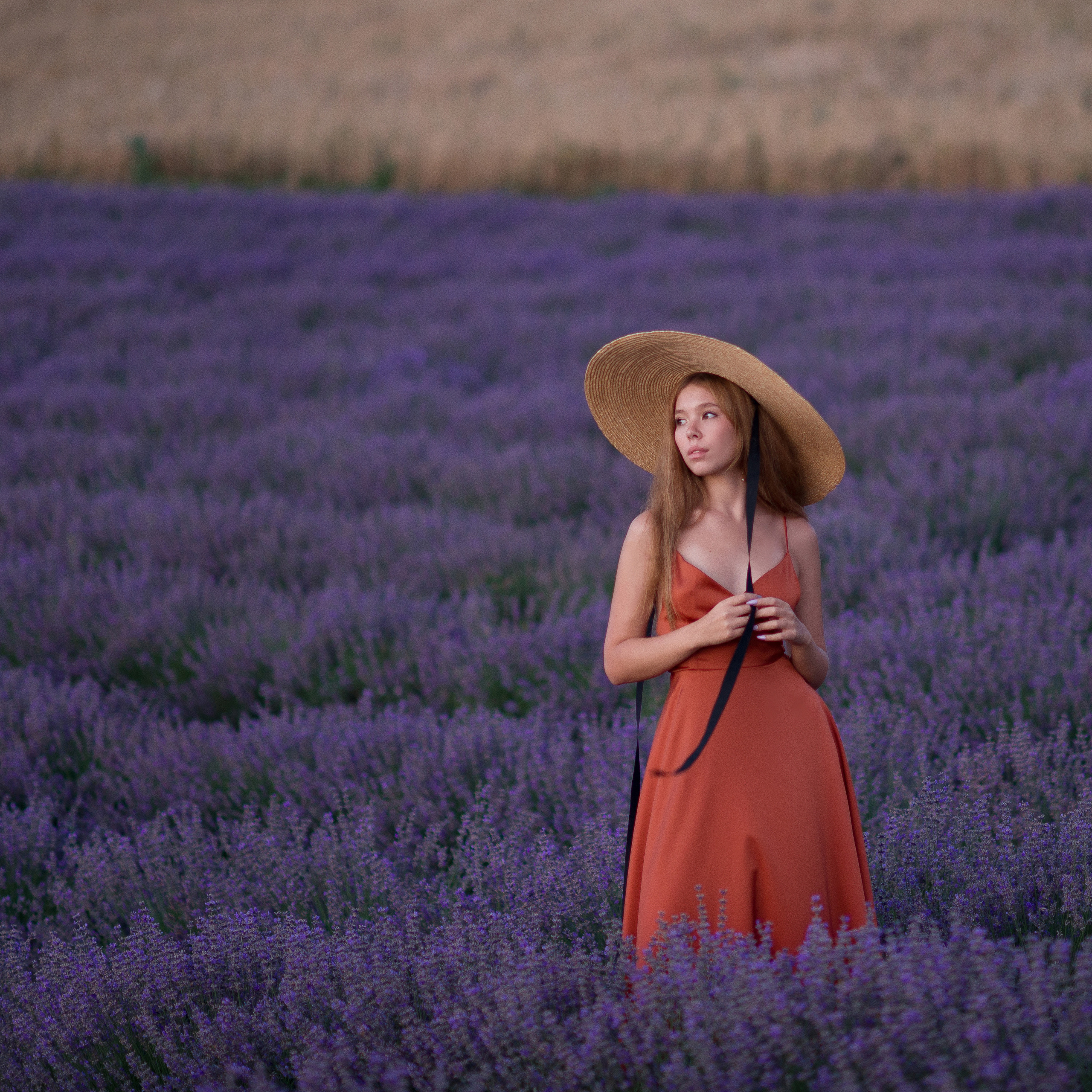 На лавандовом поле