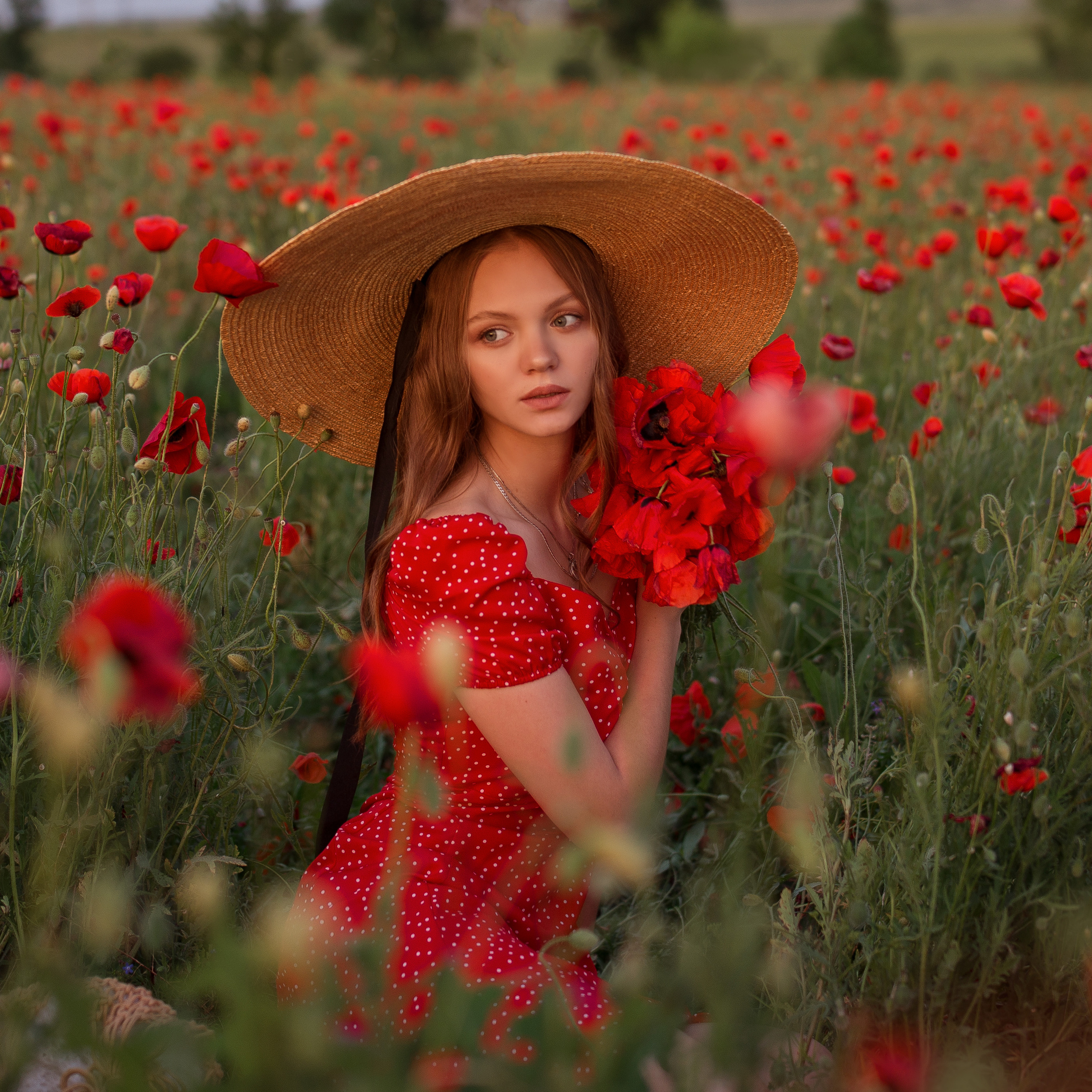 Маковое поле