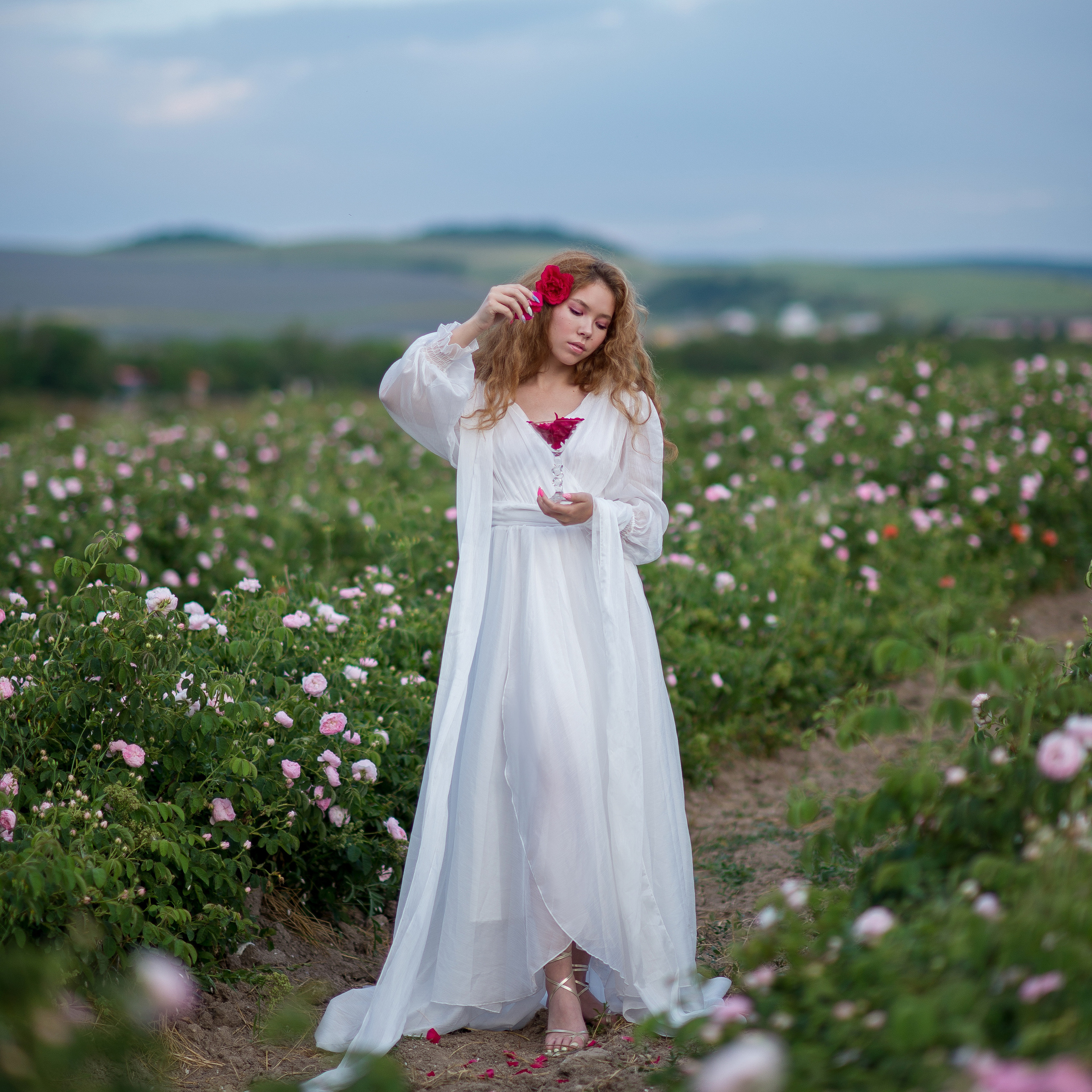 Розовые плантации