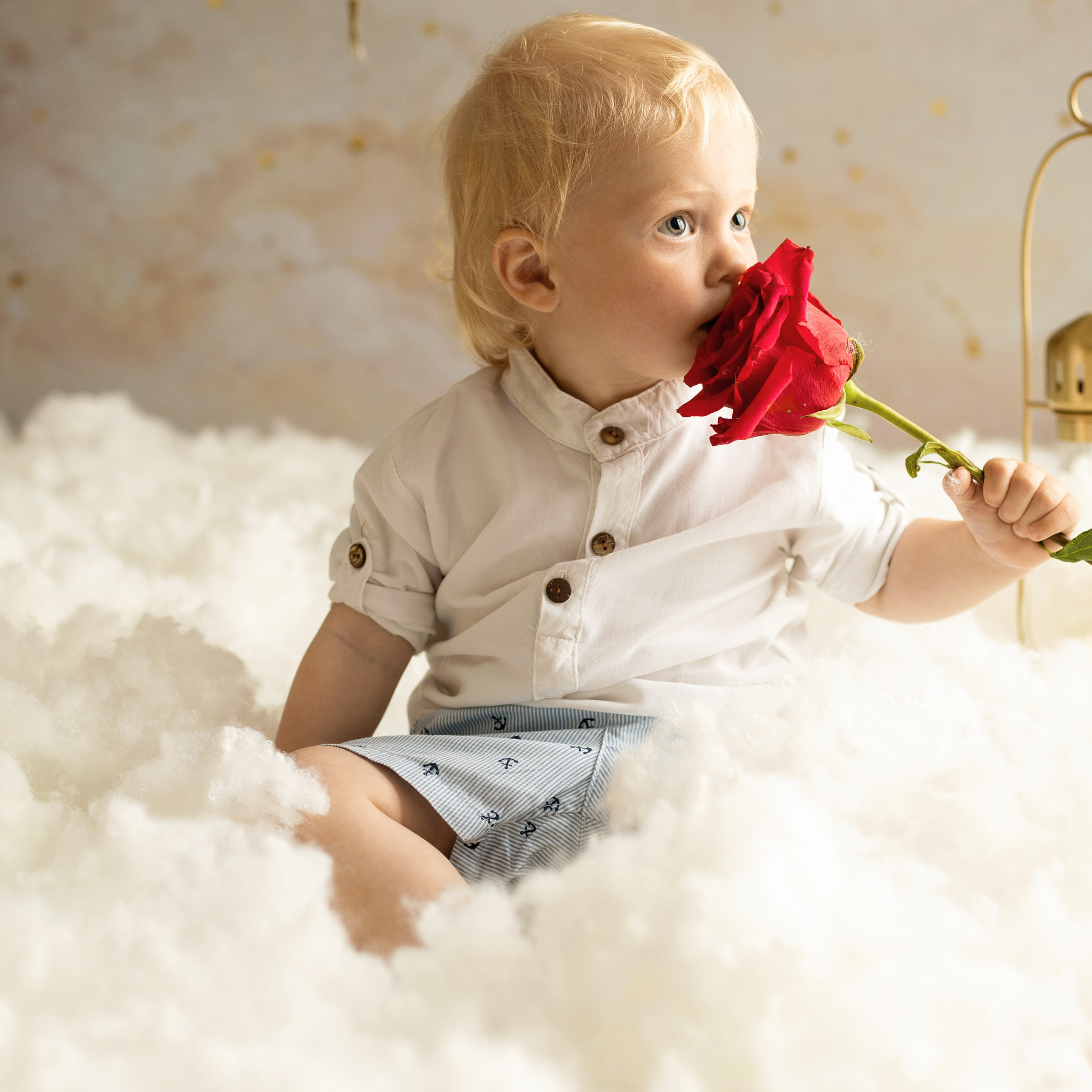 Фотопроект «Маленький принц»