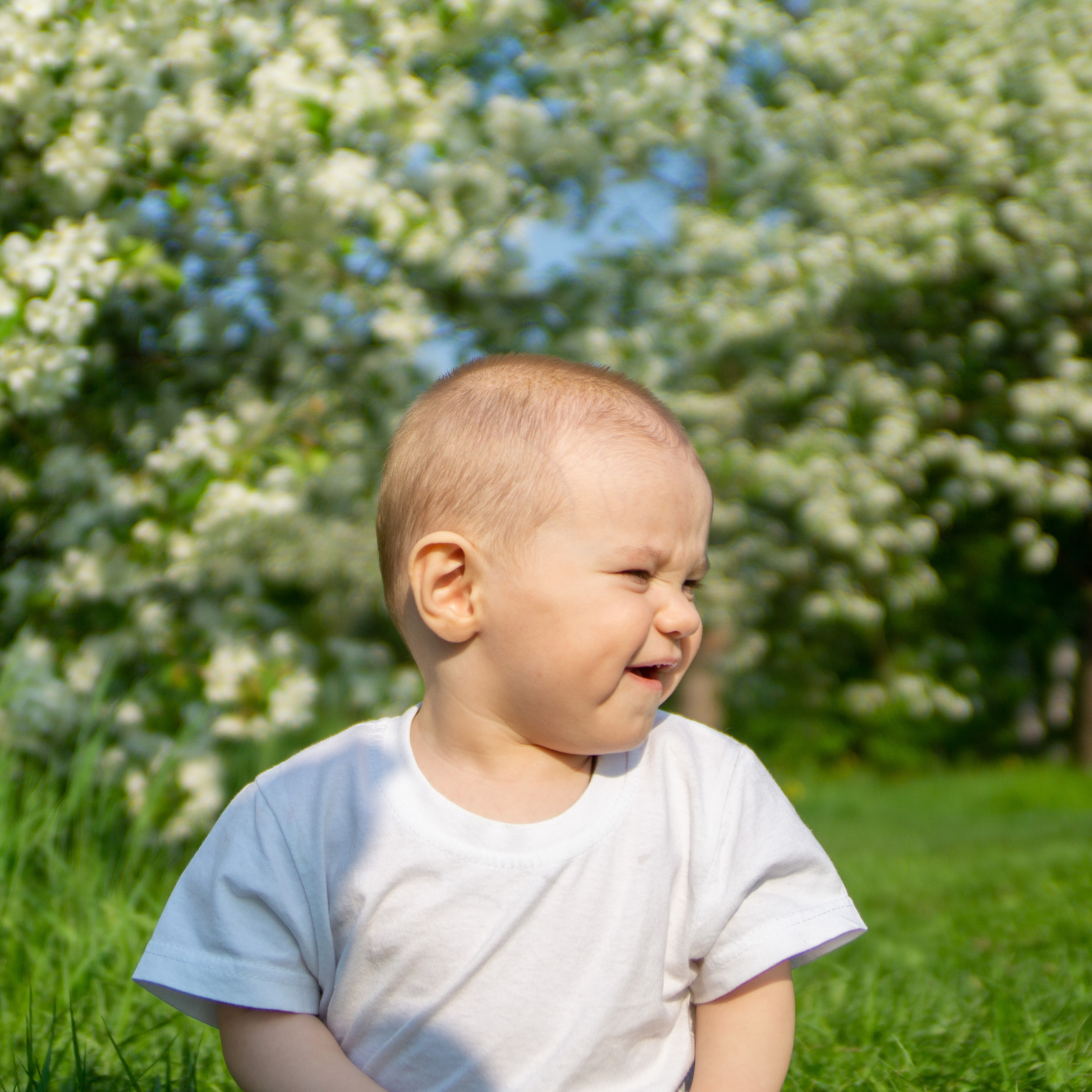 Отзывы. Фотограф Дмитрий Игнатенко. Владивосток
