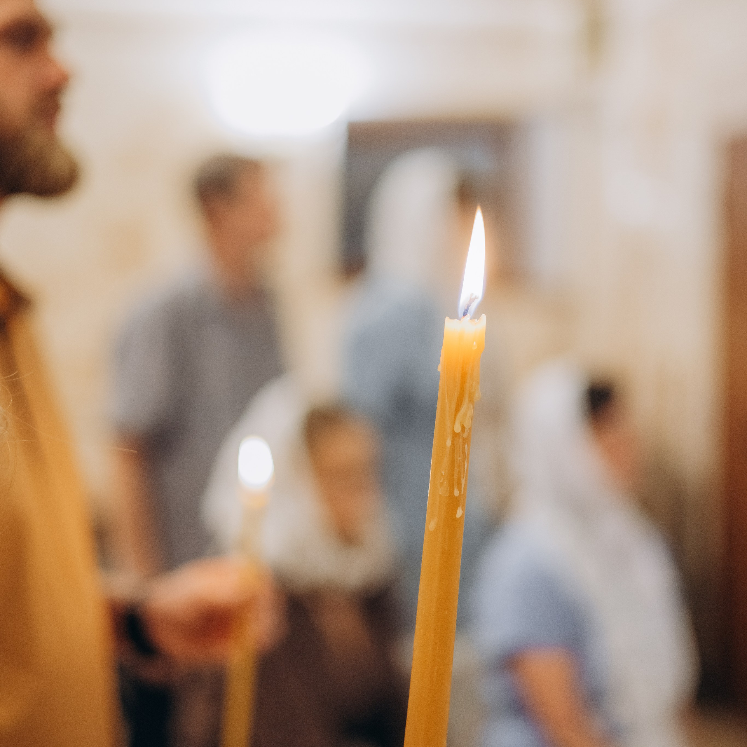 Отзывы. Семейные фотограф в Одинцово и Москве. Диана Сусоева