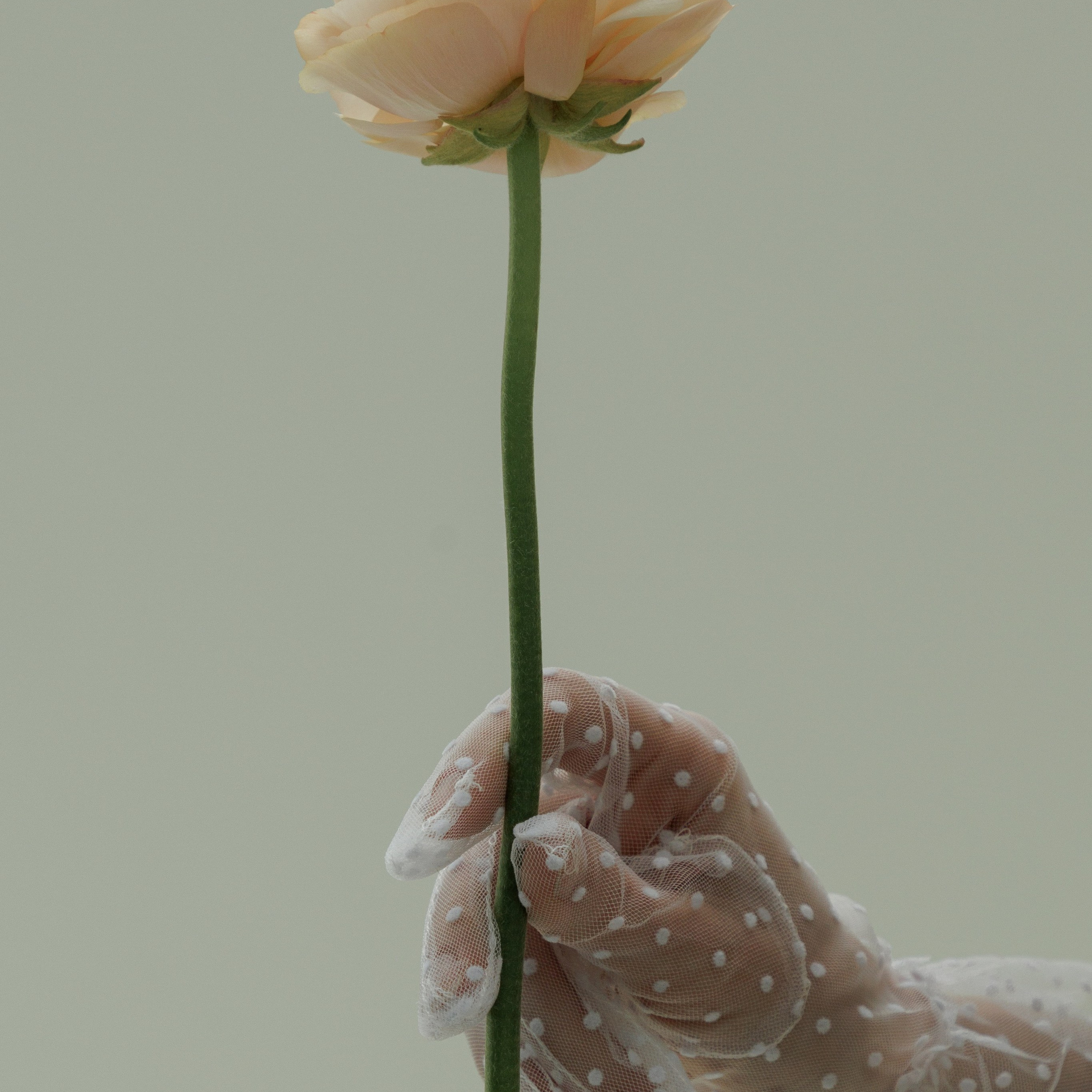 Отзывы. Контент-фотограф Надежда Нудельман