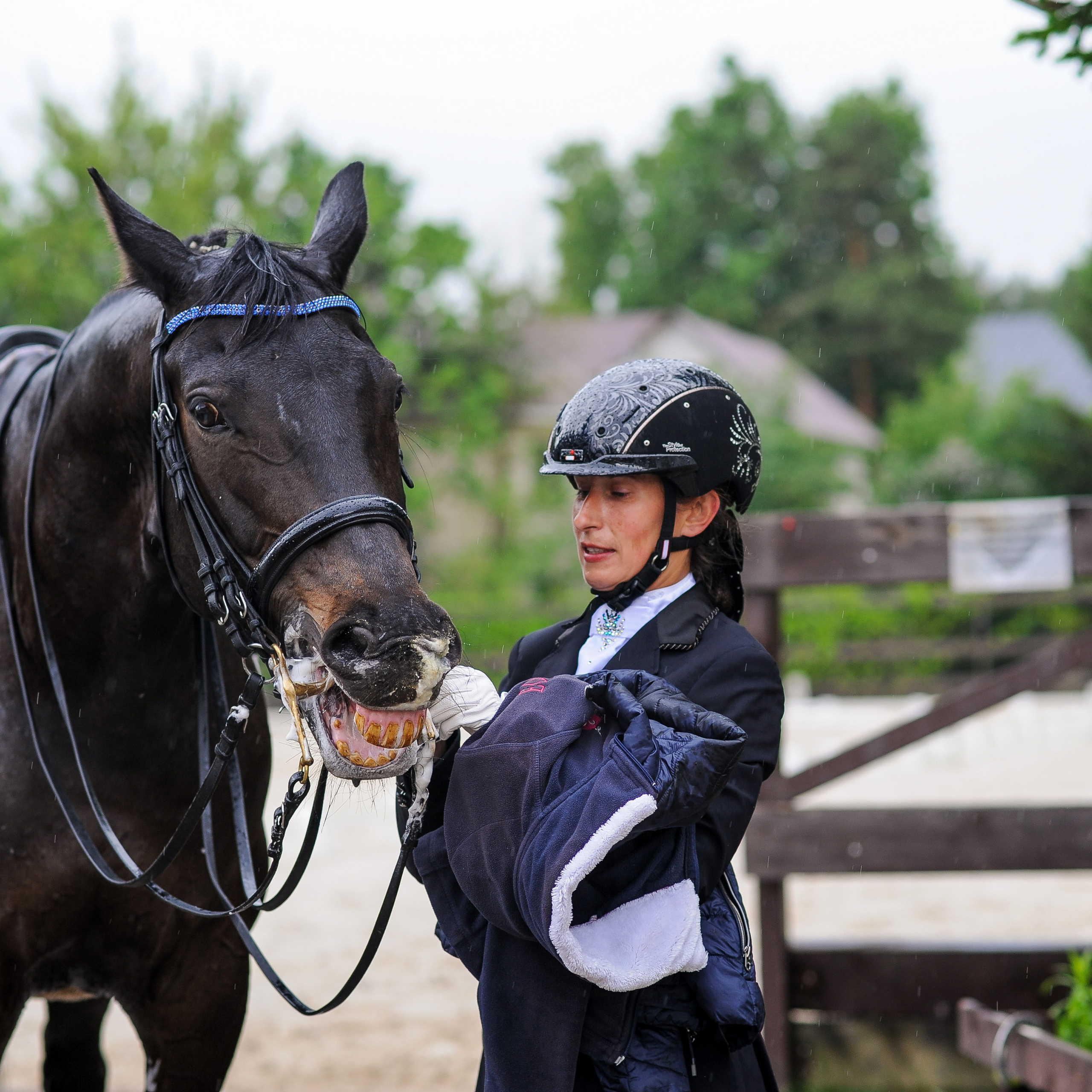 Выездка Репортаж 05.28.2023