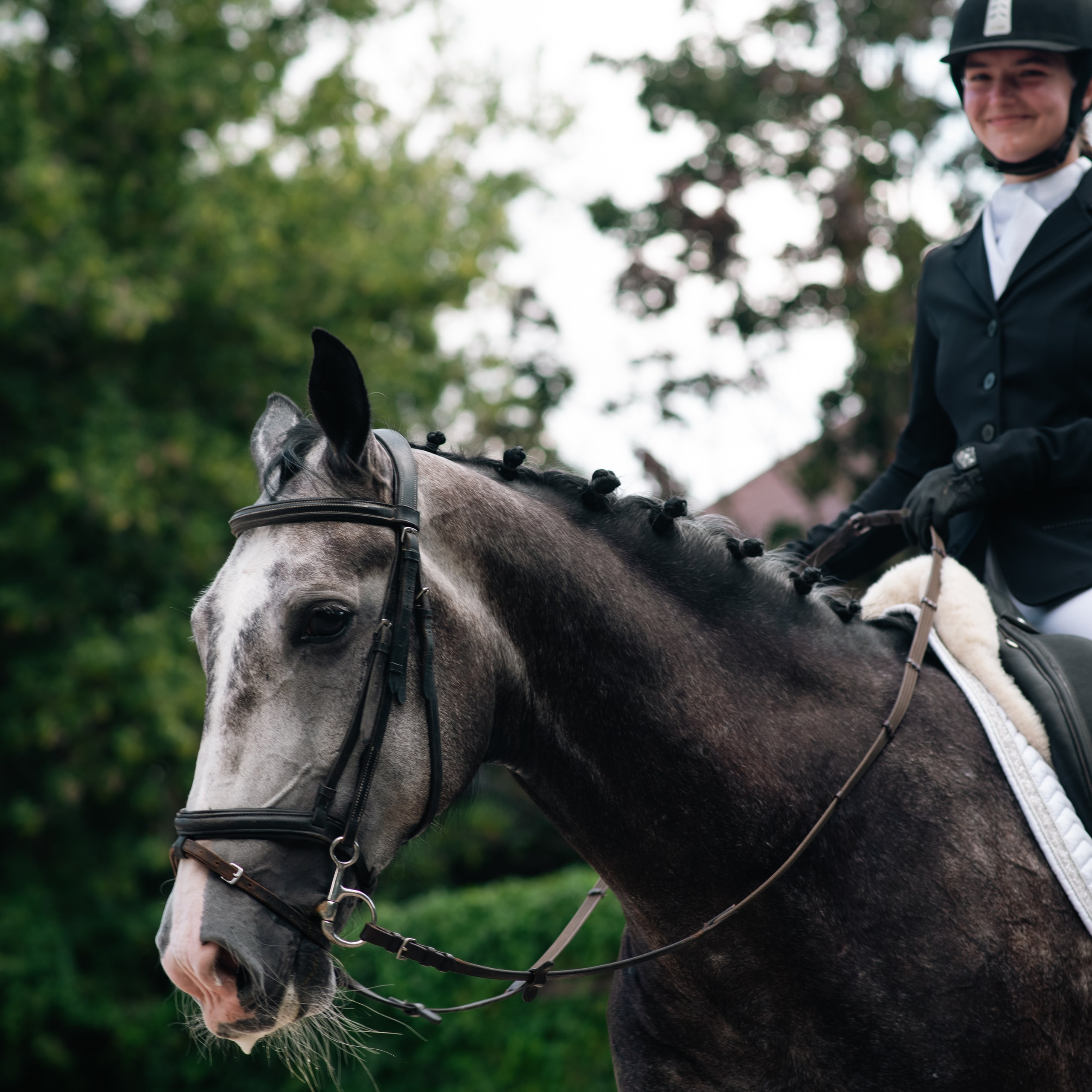 Выездка 10.08.25