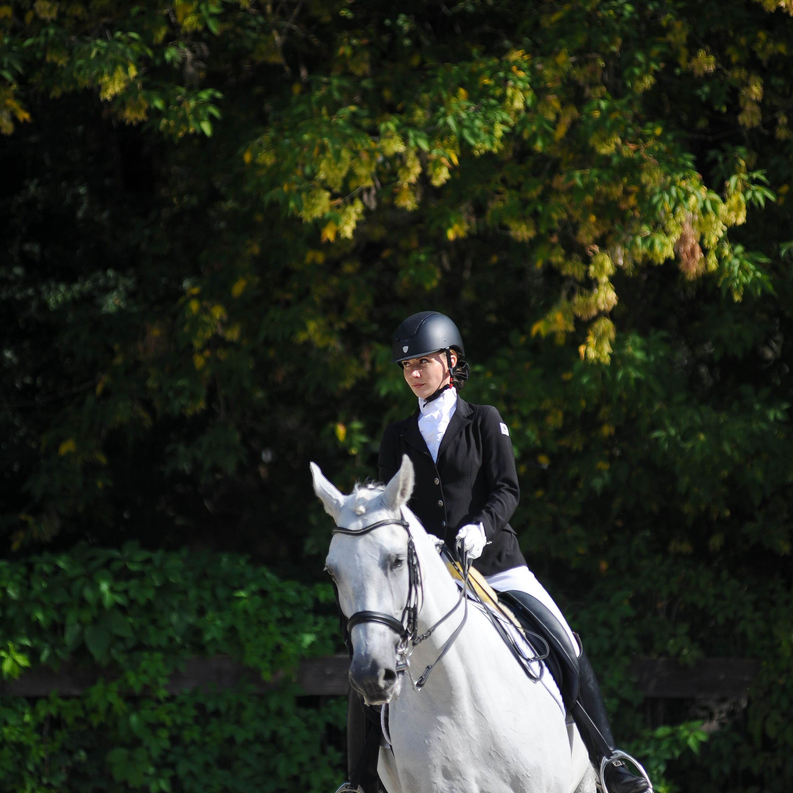 Конкур в конном клубе, репортаж Москва
