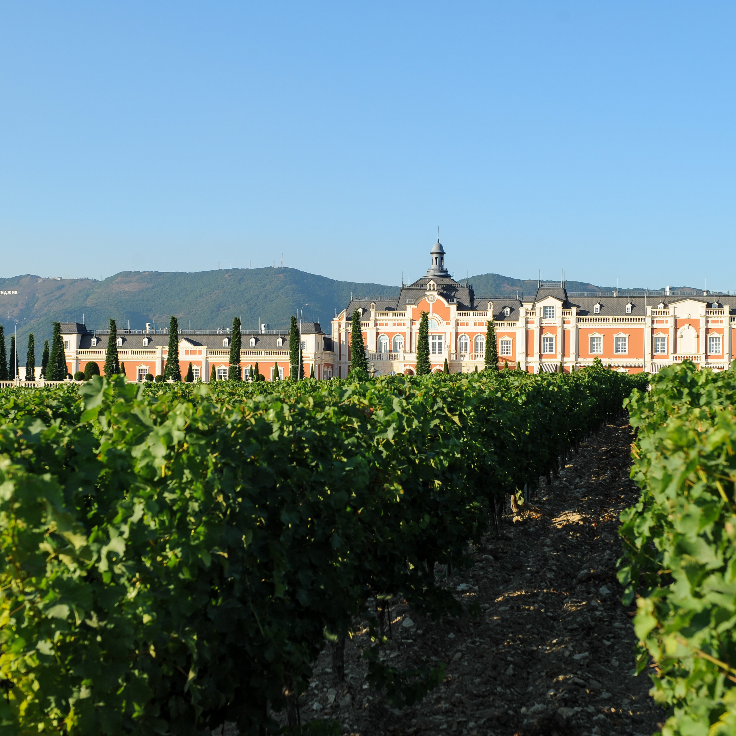 Винодельня Château de Talu