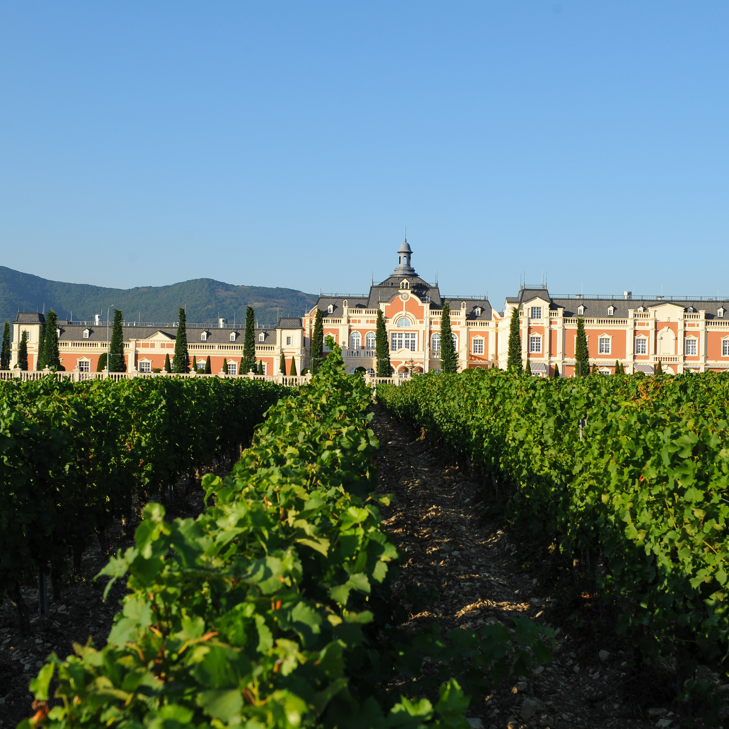 Съемка для Château de Talu