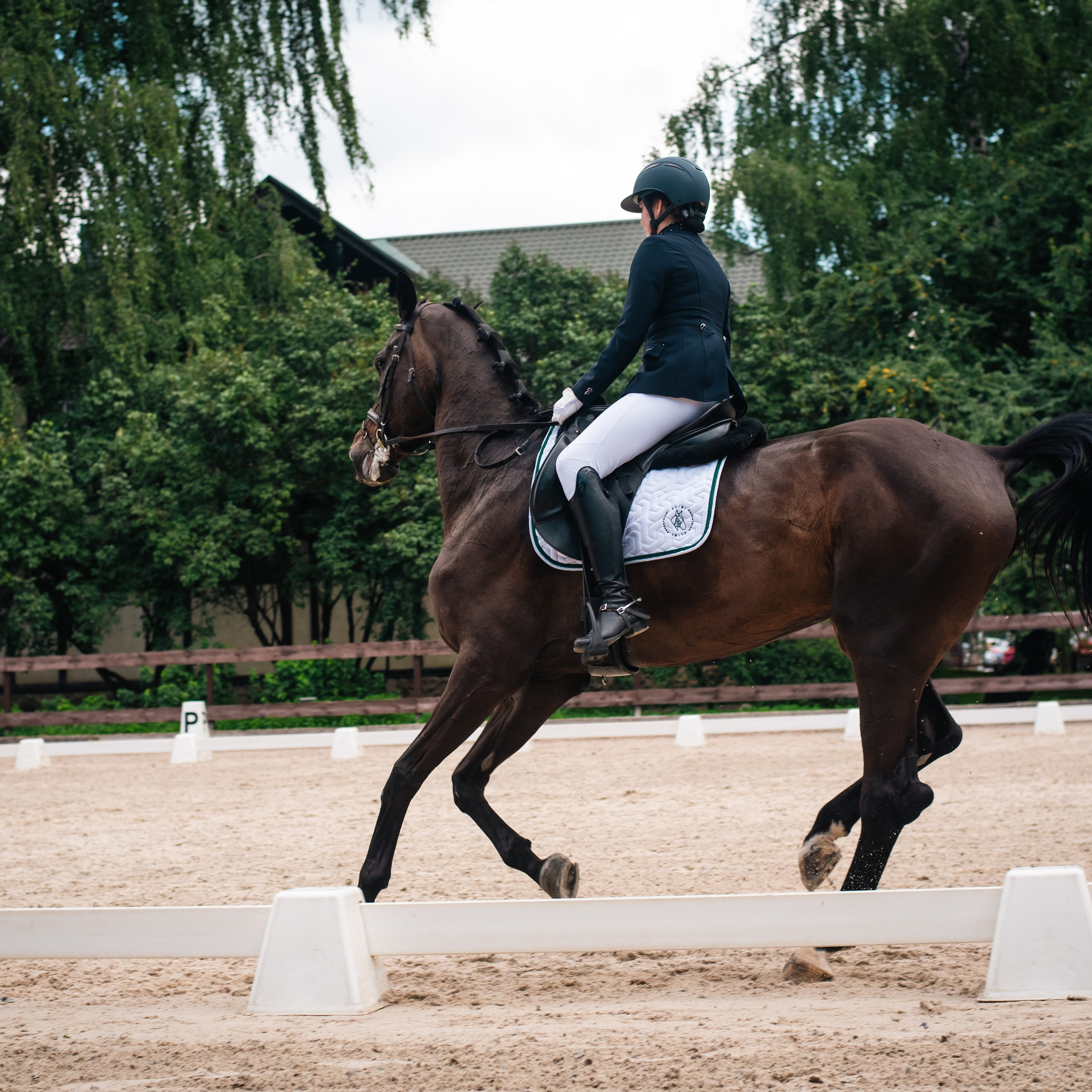 Выездка 10.08.25