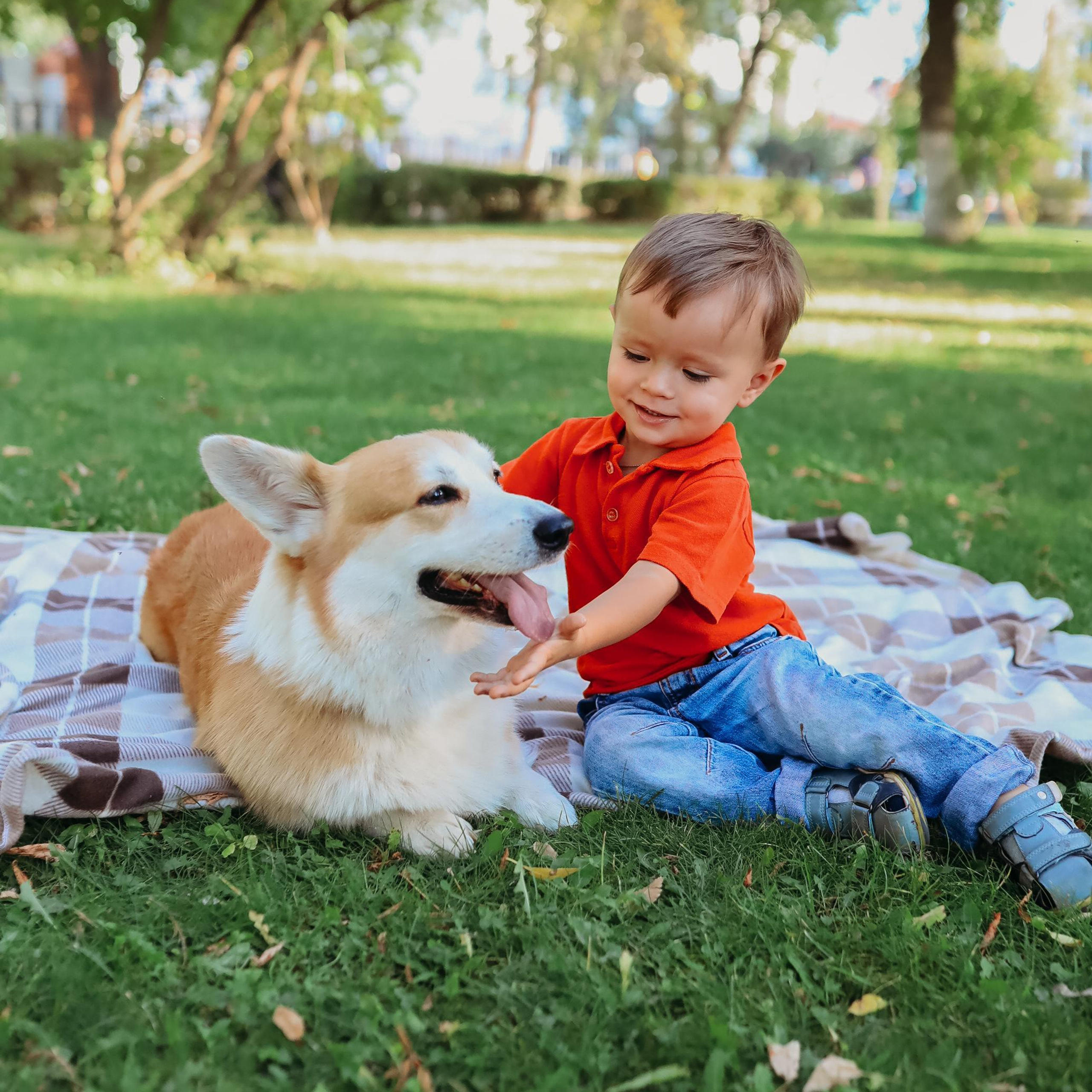 Отзывы. Доула. Курс подготовки к родам. Перинатльный фотограф г. Оренбург