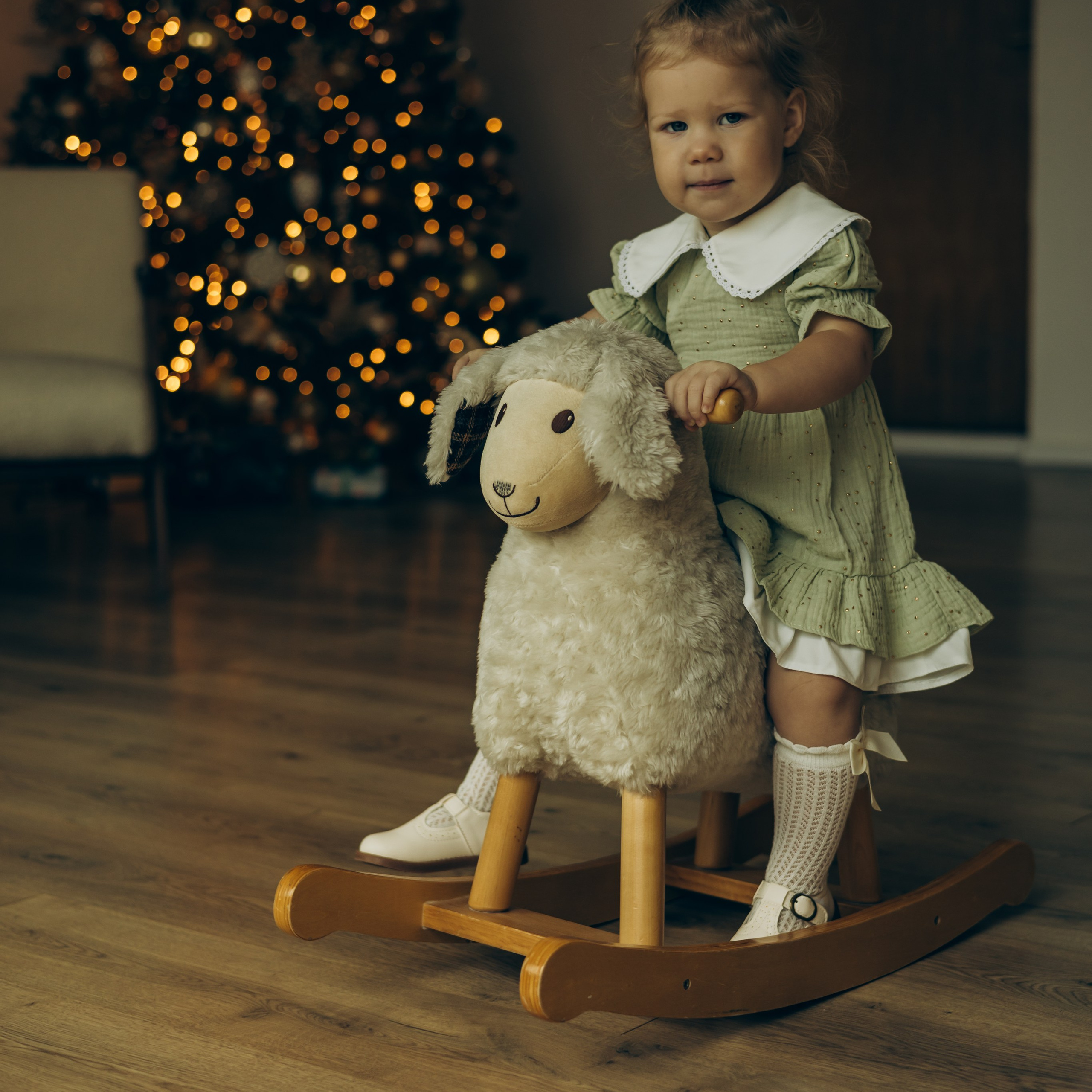 Новогодняя. Krissphoto