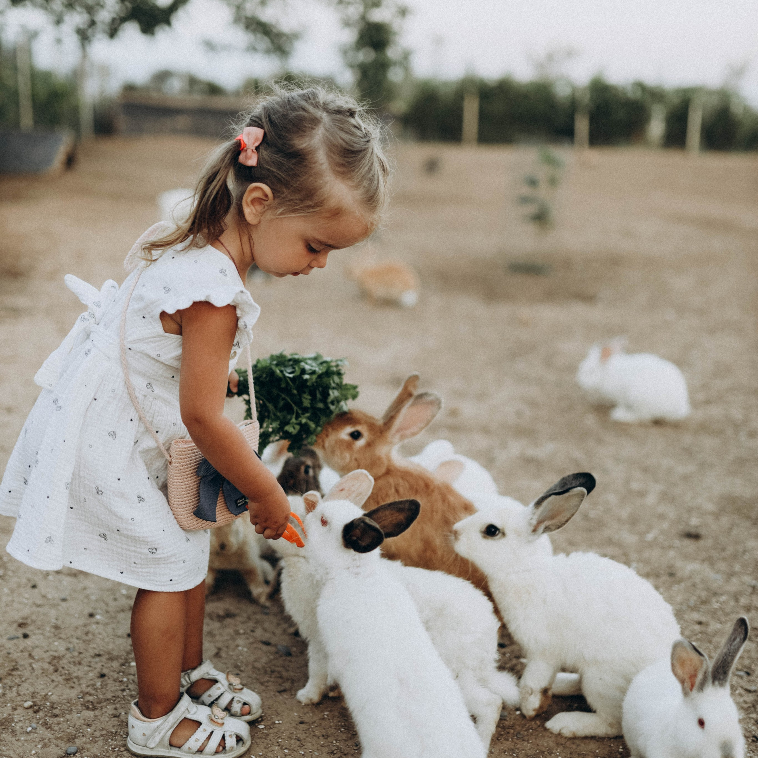 Кроликпарк 🐇