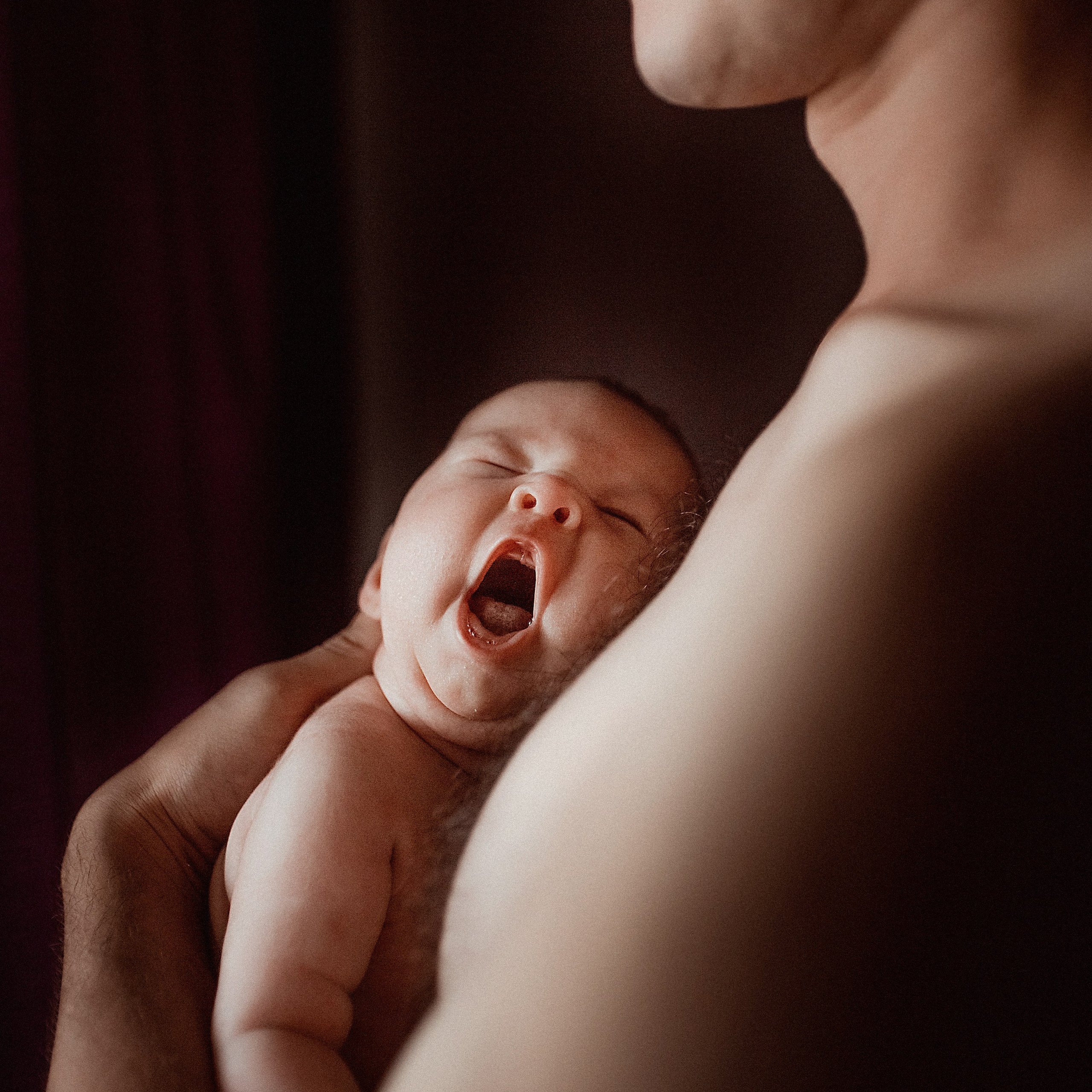 Цветочек Василечек