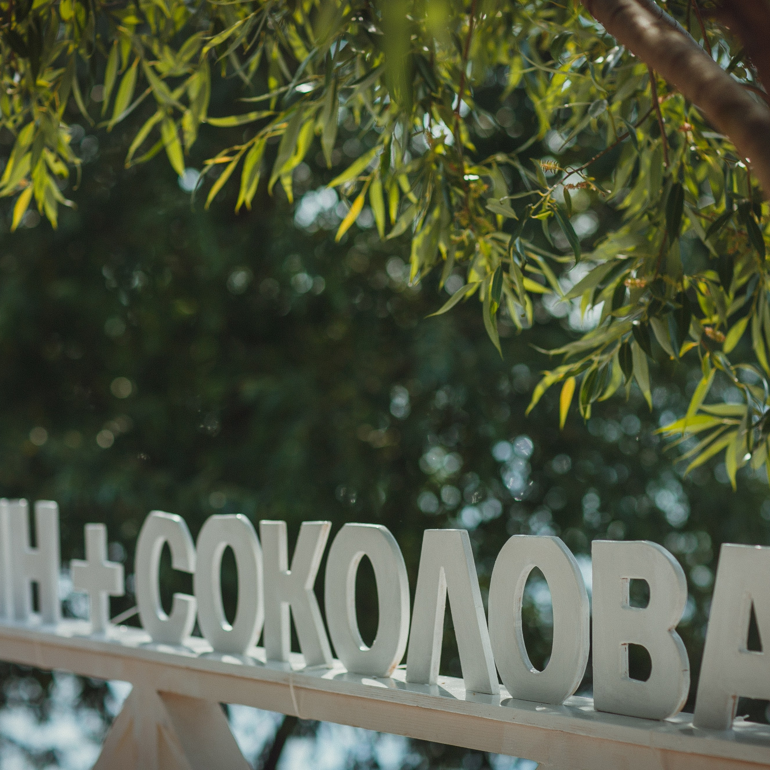 Василина и Михаил