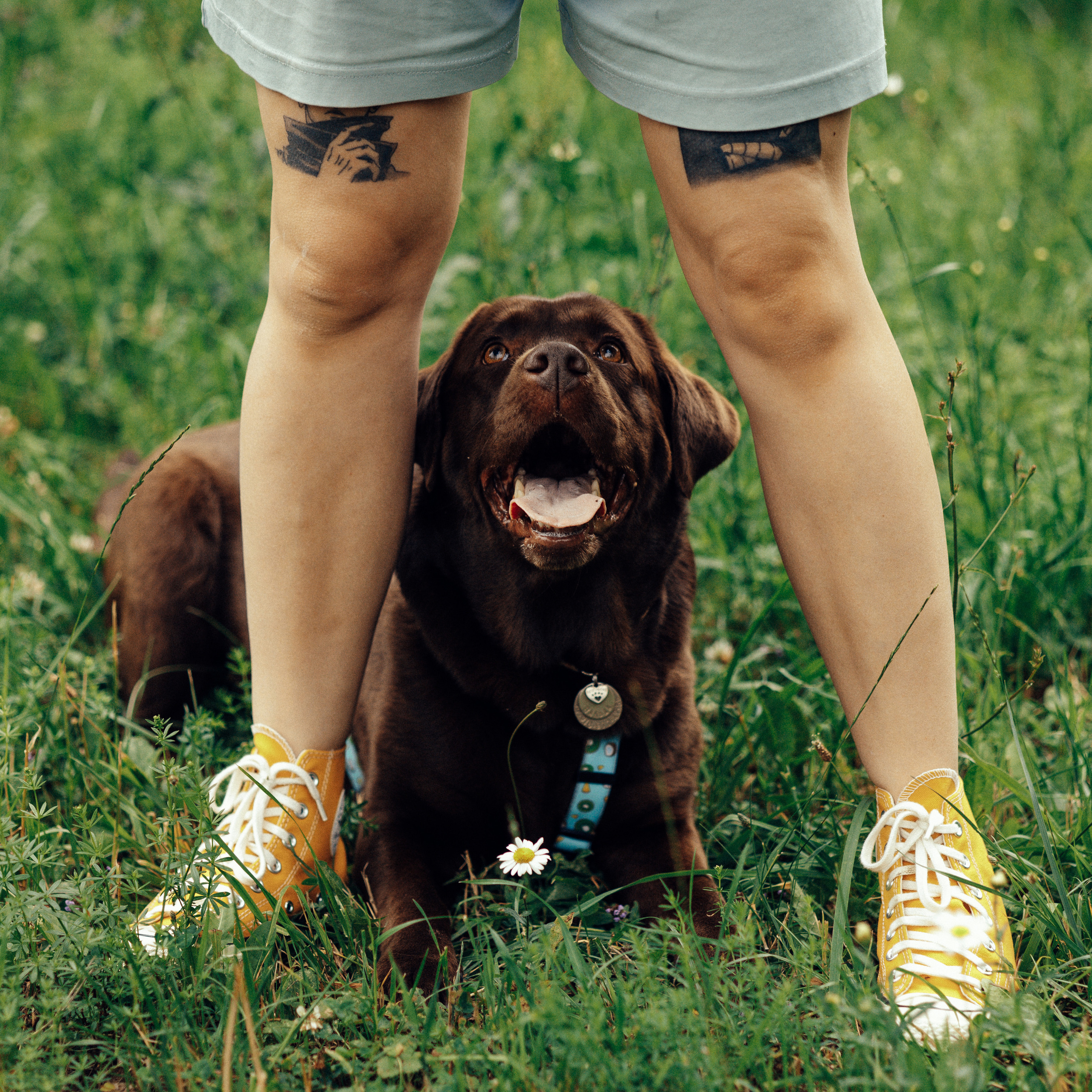 Отзывы. Анна Самохина. Фотограф. Москва