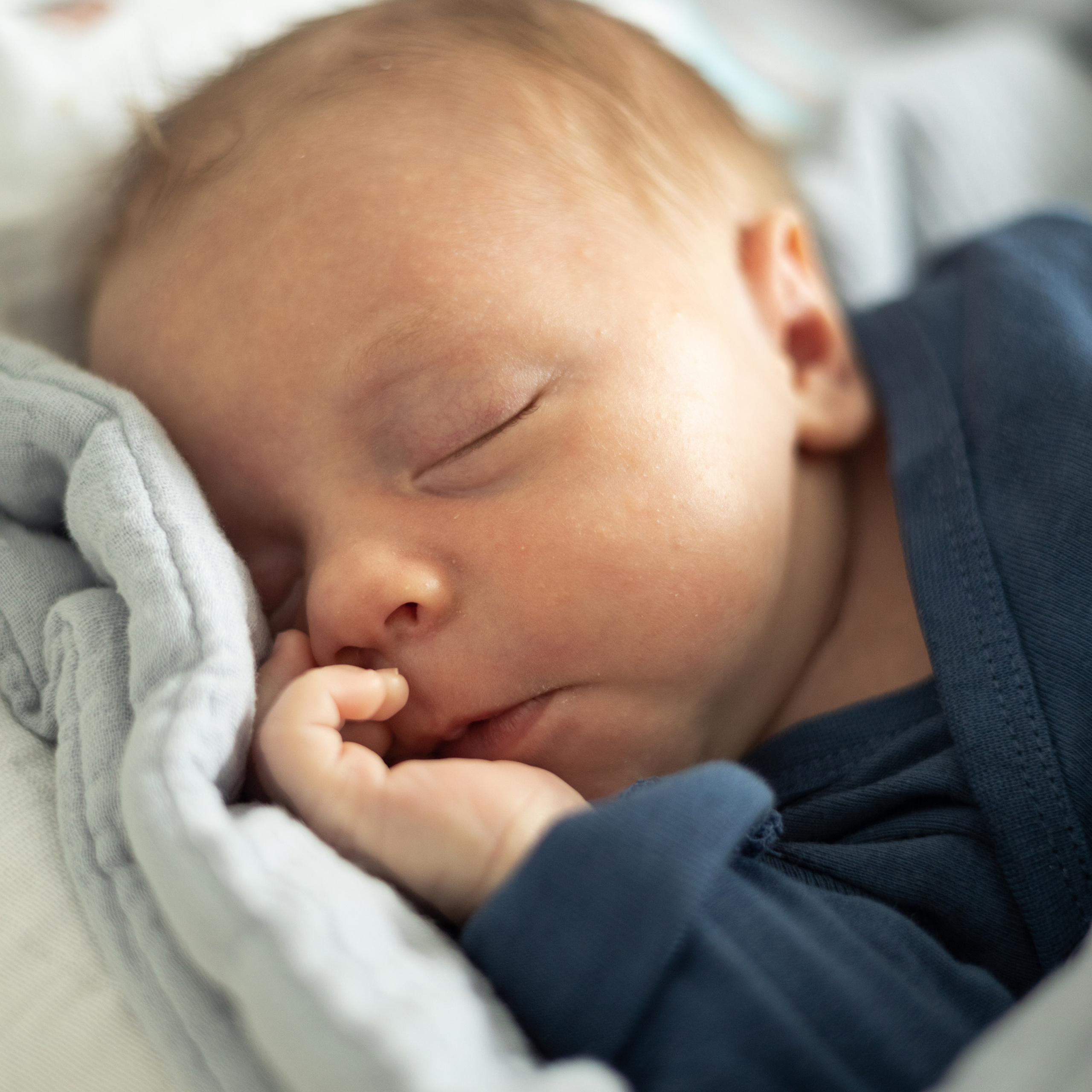 Отзывы. Анна Самохина. Фотограф. Москва