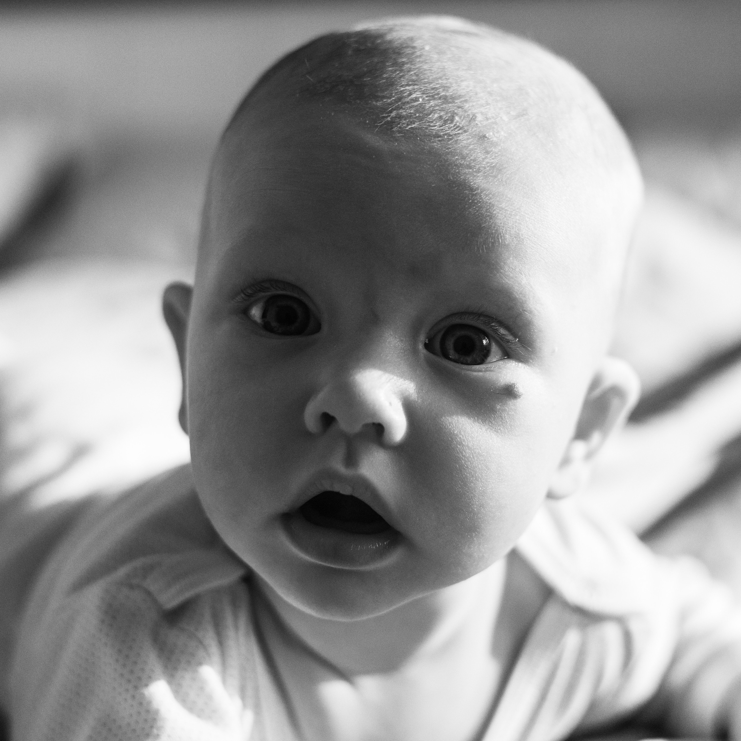 Отзывы. Анна Самохина. Фотограф. Москва