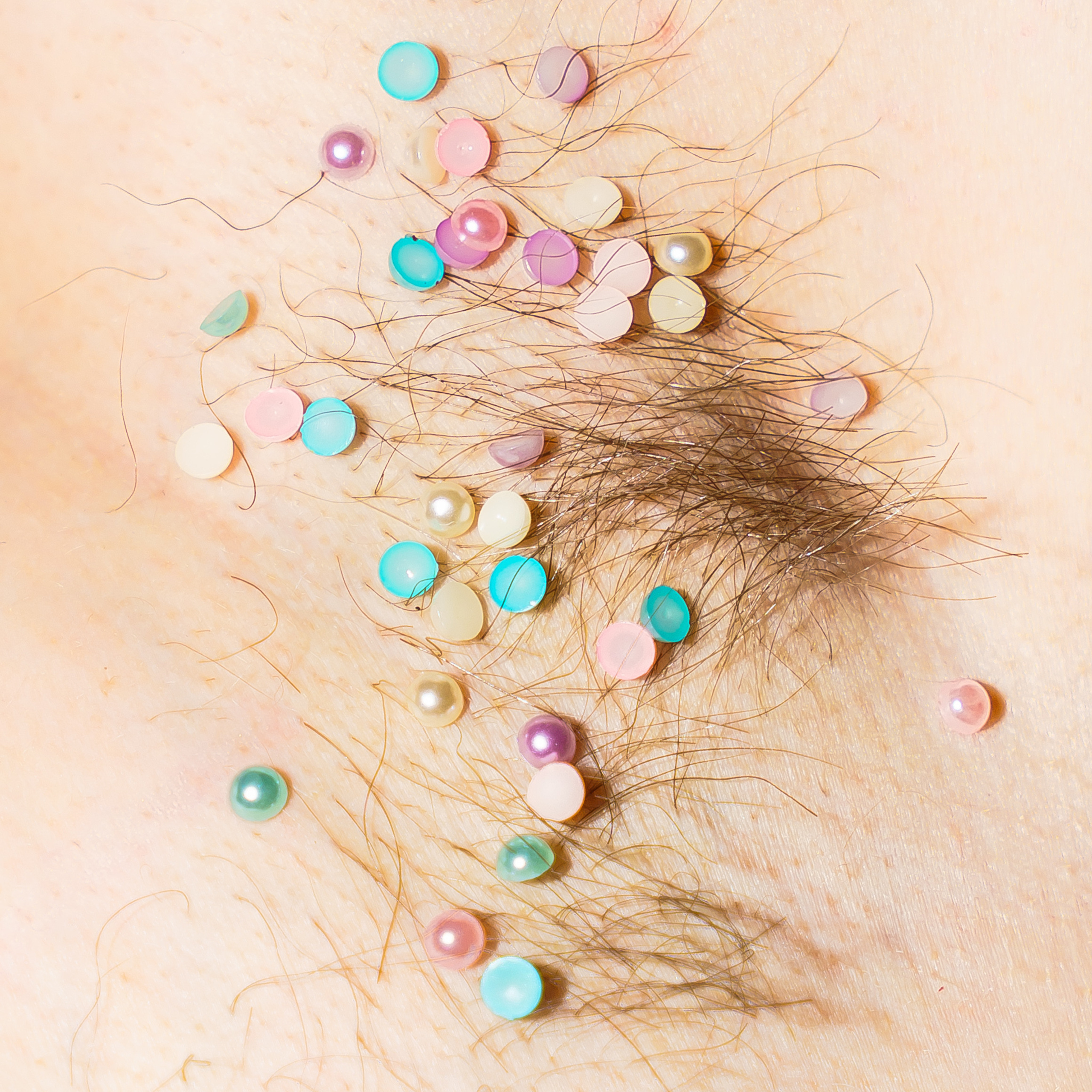 Семейный портрет