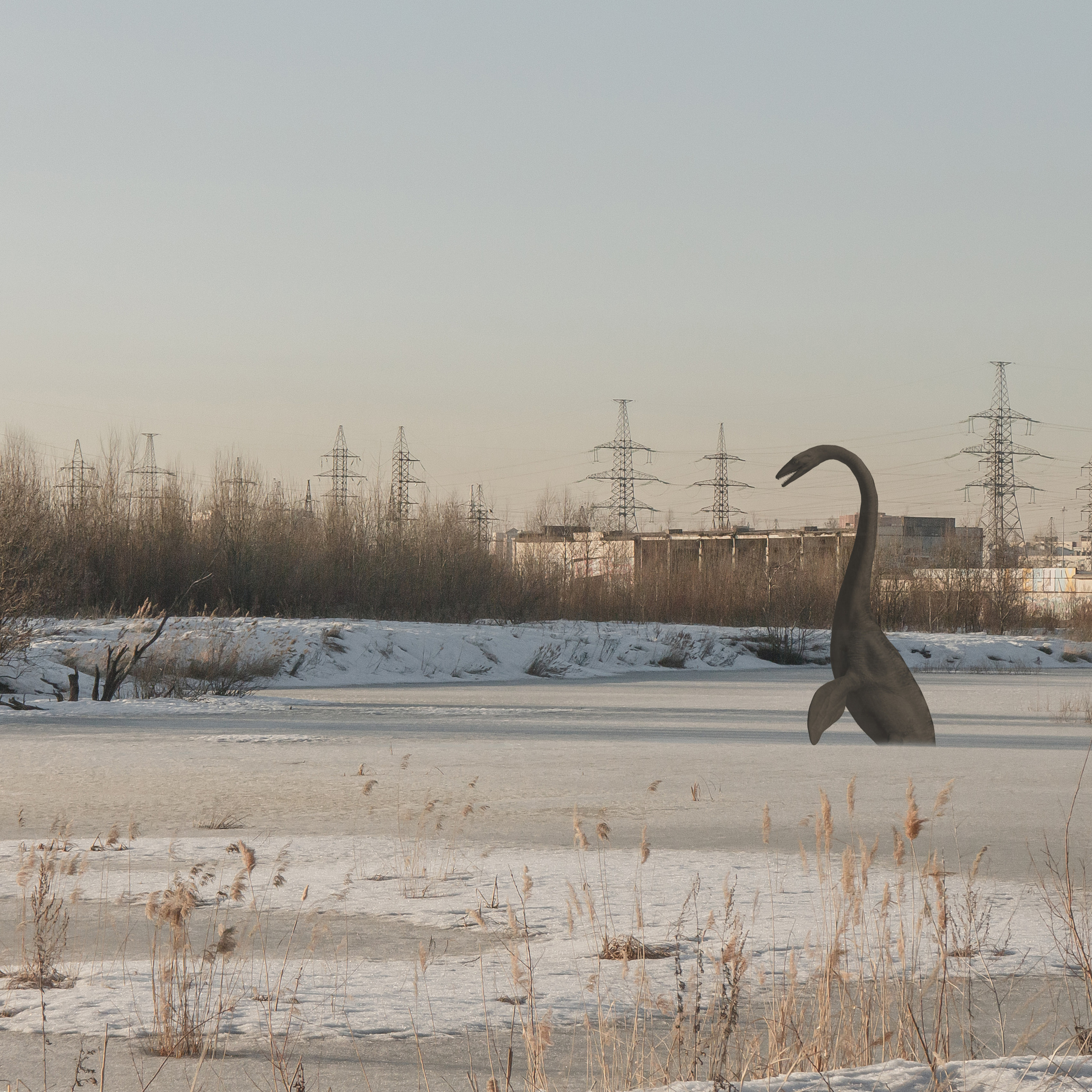 «Я иду искать»