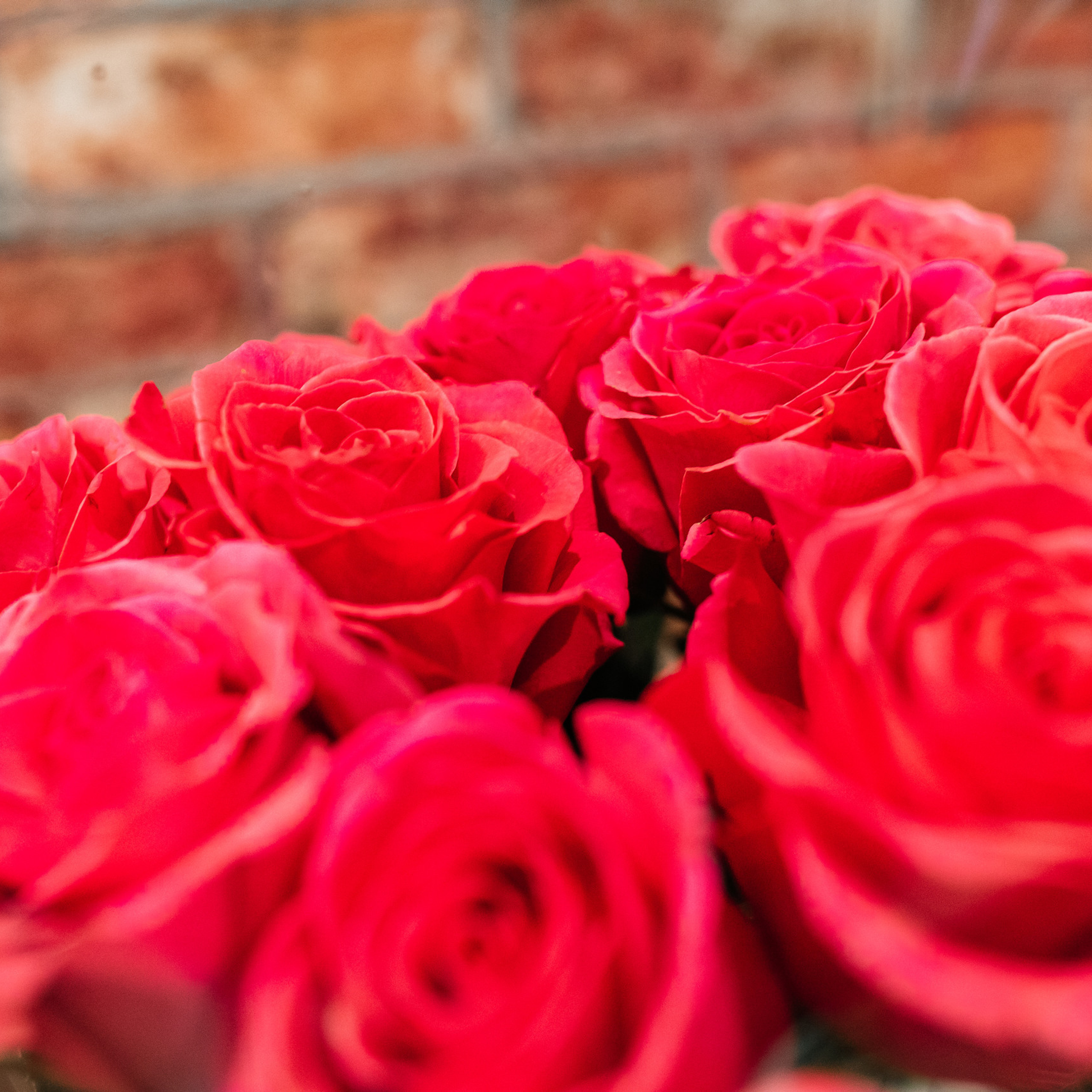 Отзывы. Свадебный и семейный фотограф в Москве и МО Елена Агапова