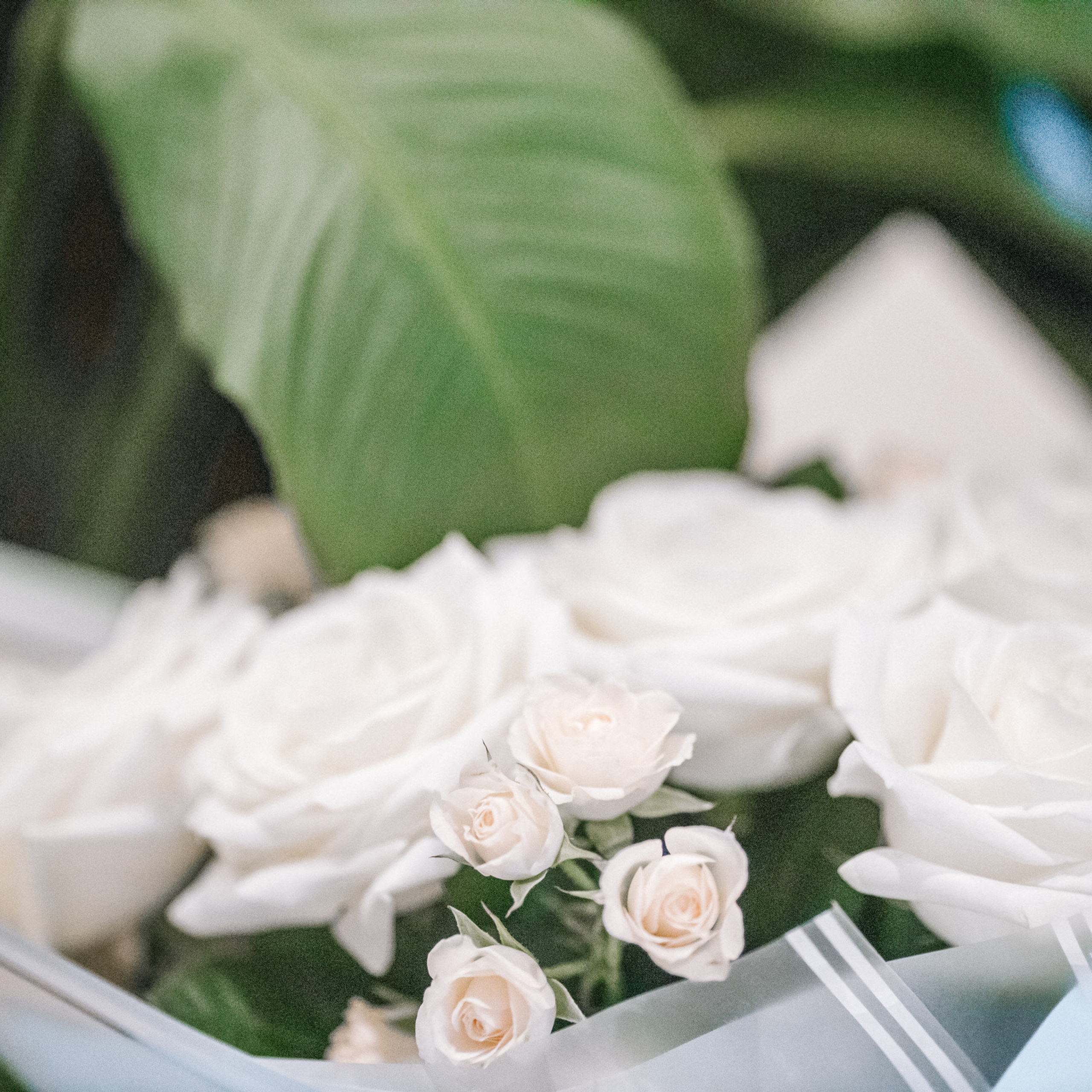 Отзывы. Свадебный и семейный фотограф в Москве и МО Елена Агапова