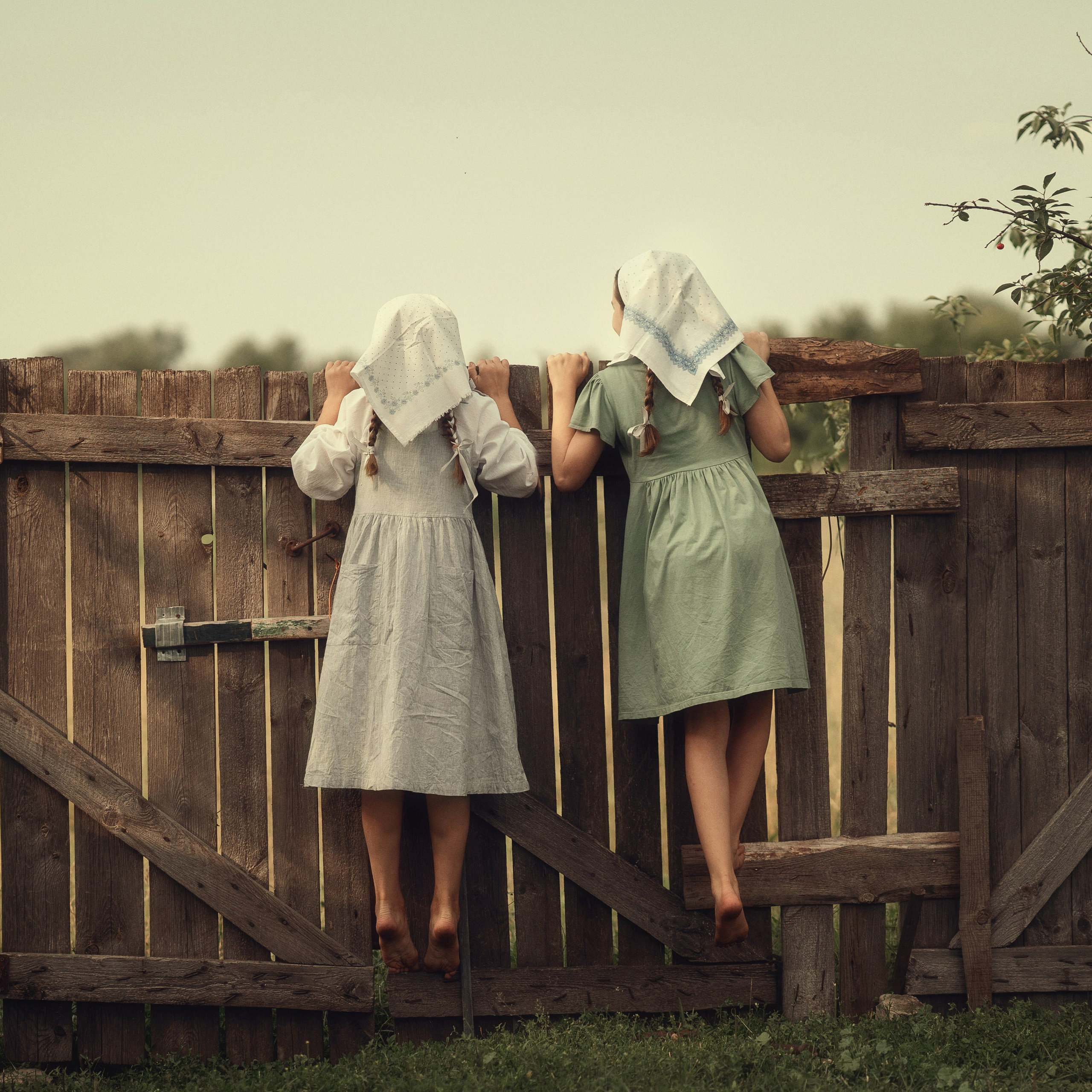 Деревенские истории