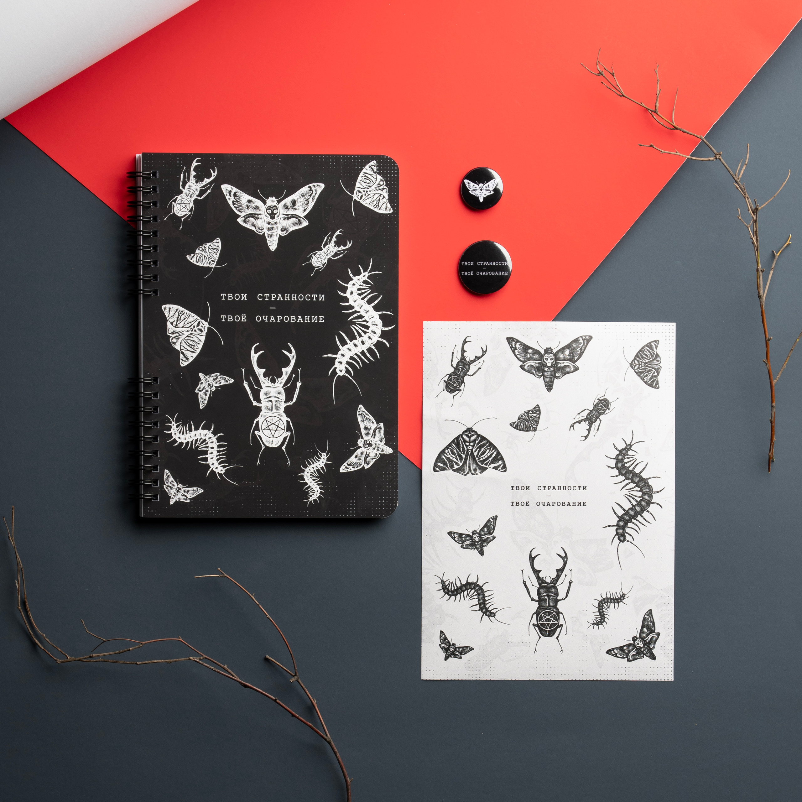 Мерч «Жуки»