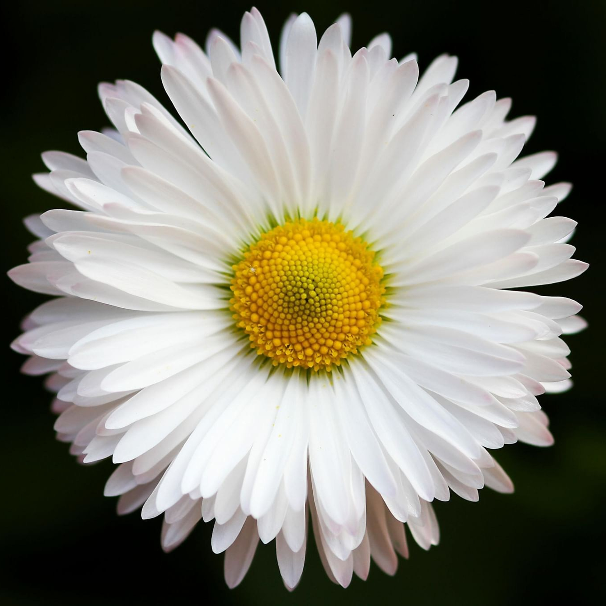 Отзывы. АНО «Центра социальных проектов «Путь в большой мир»