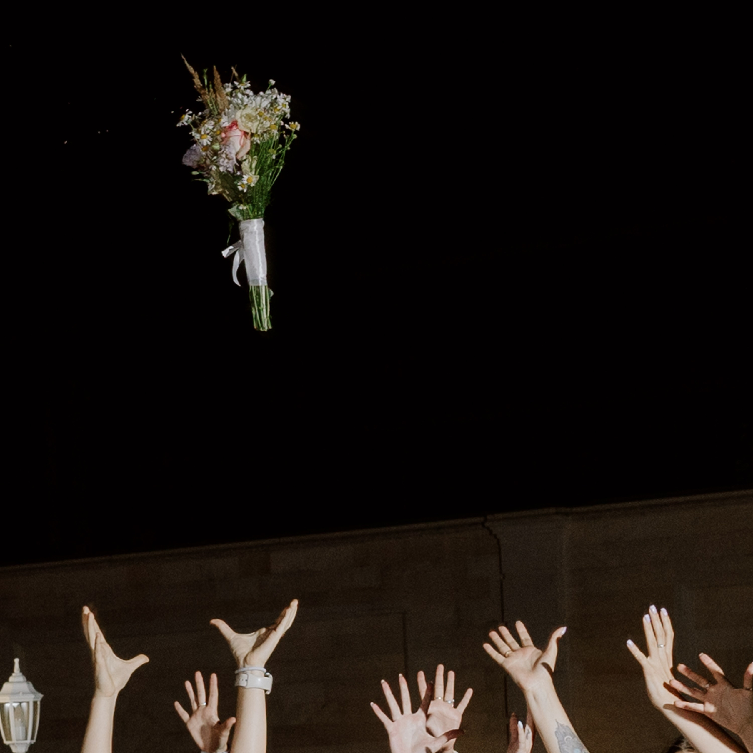 You Are My Sunshine (full day)