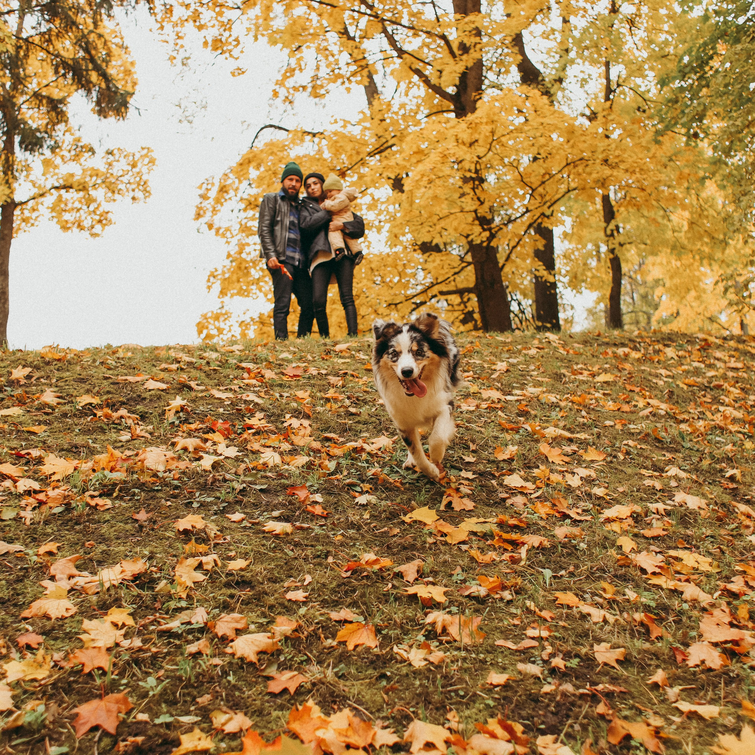 Натали и семья