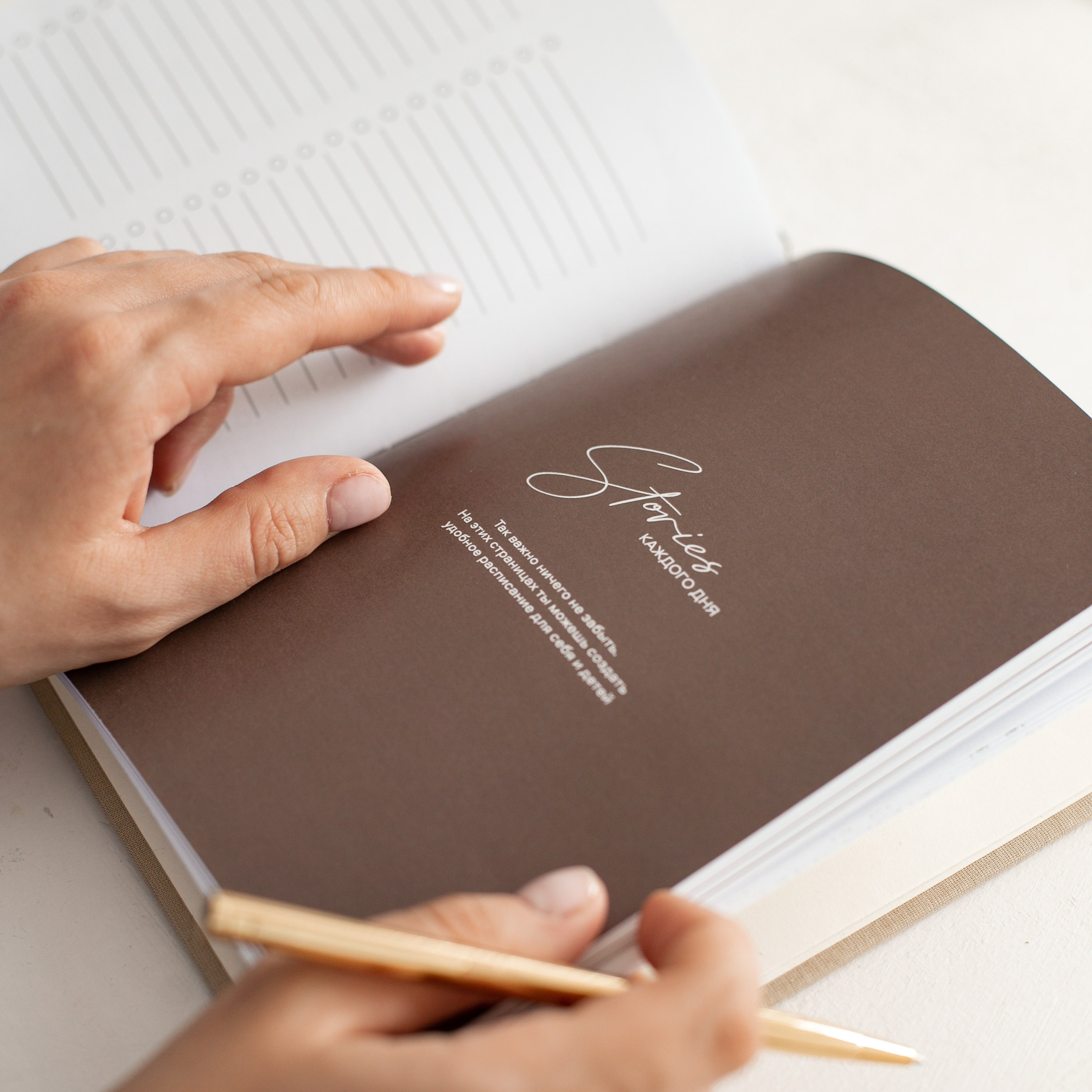 Ежедневник Stories